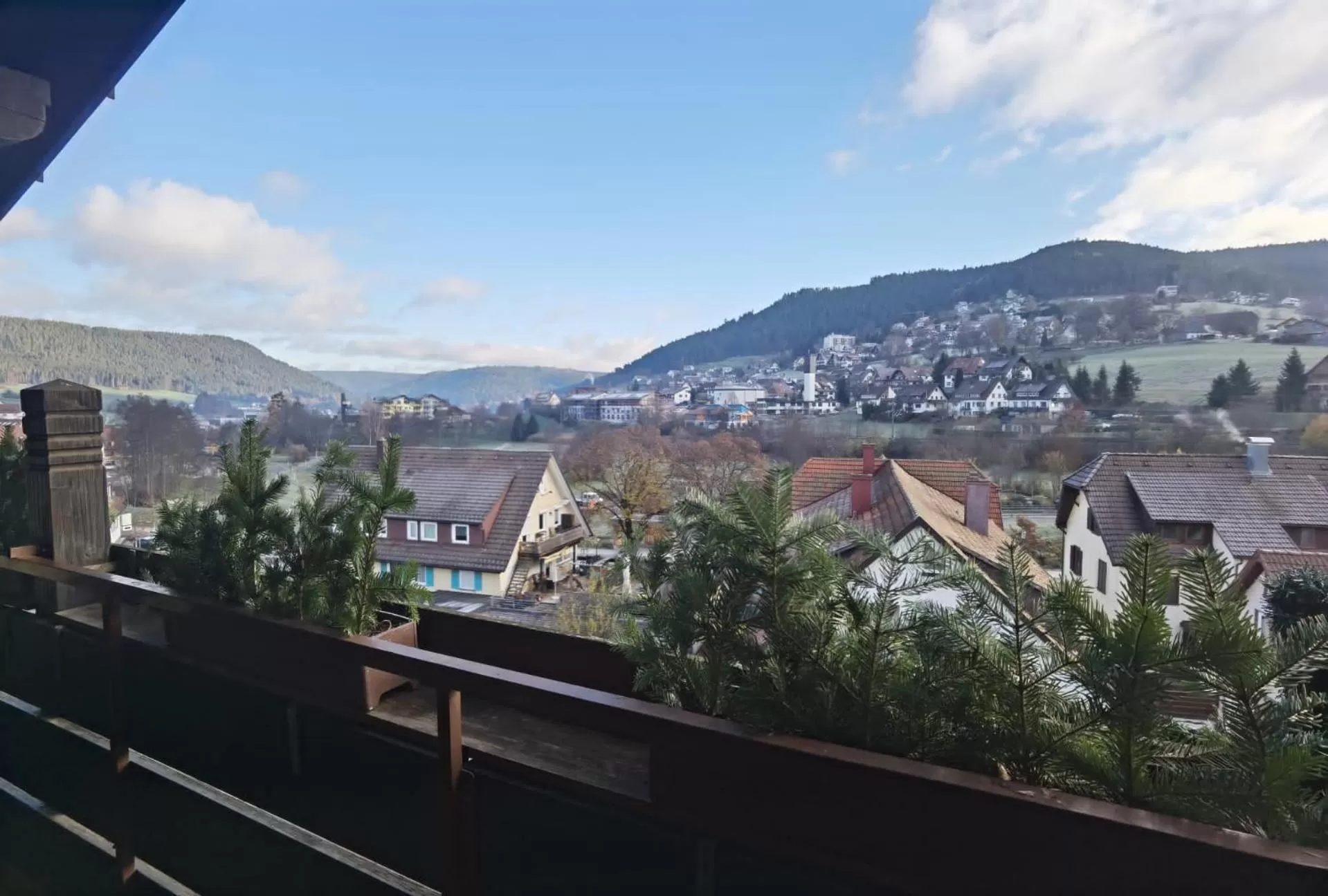 Mountain View in Hotel Rose