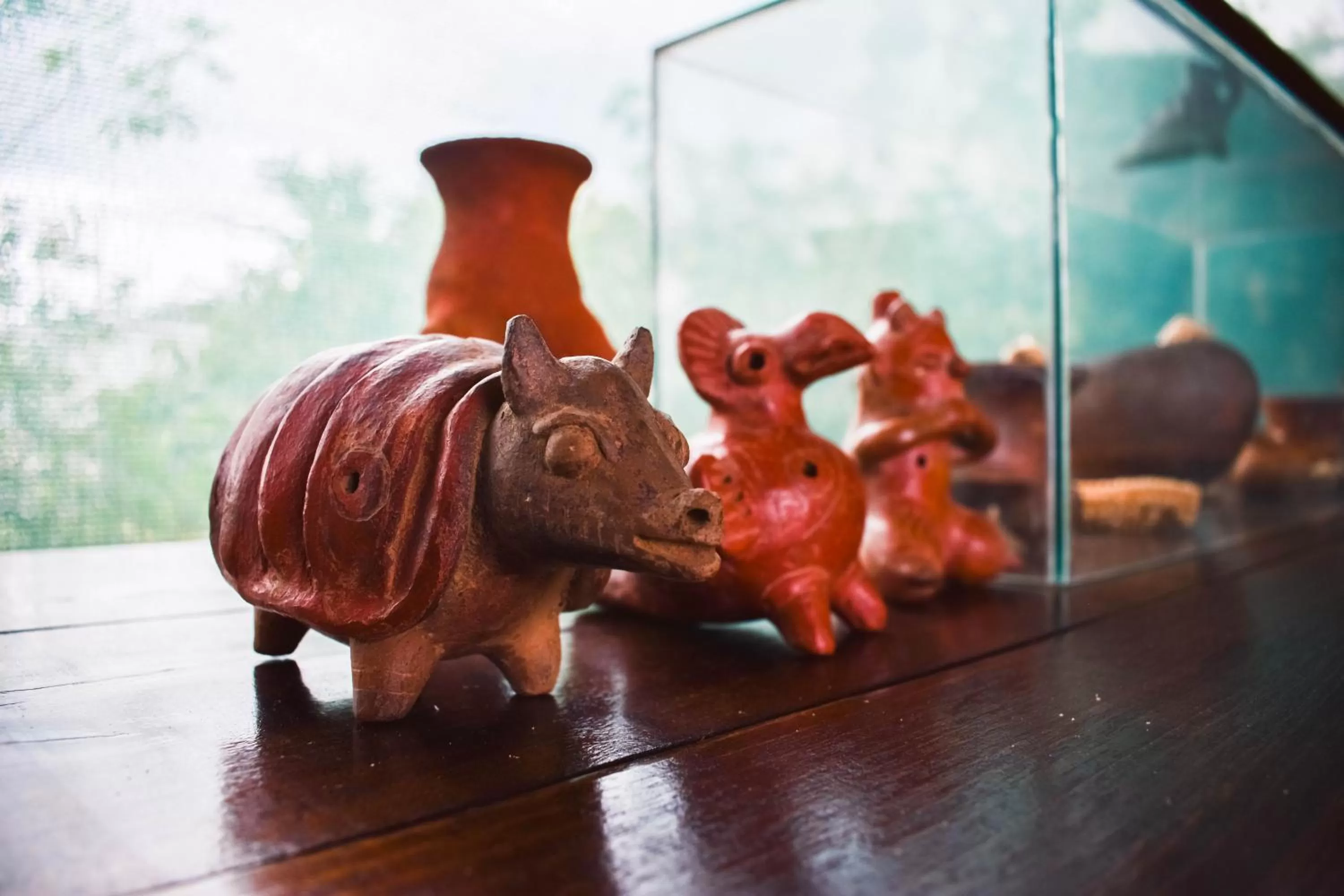 Natural landscape, Other Animals in Arenal Descanso