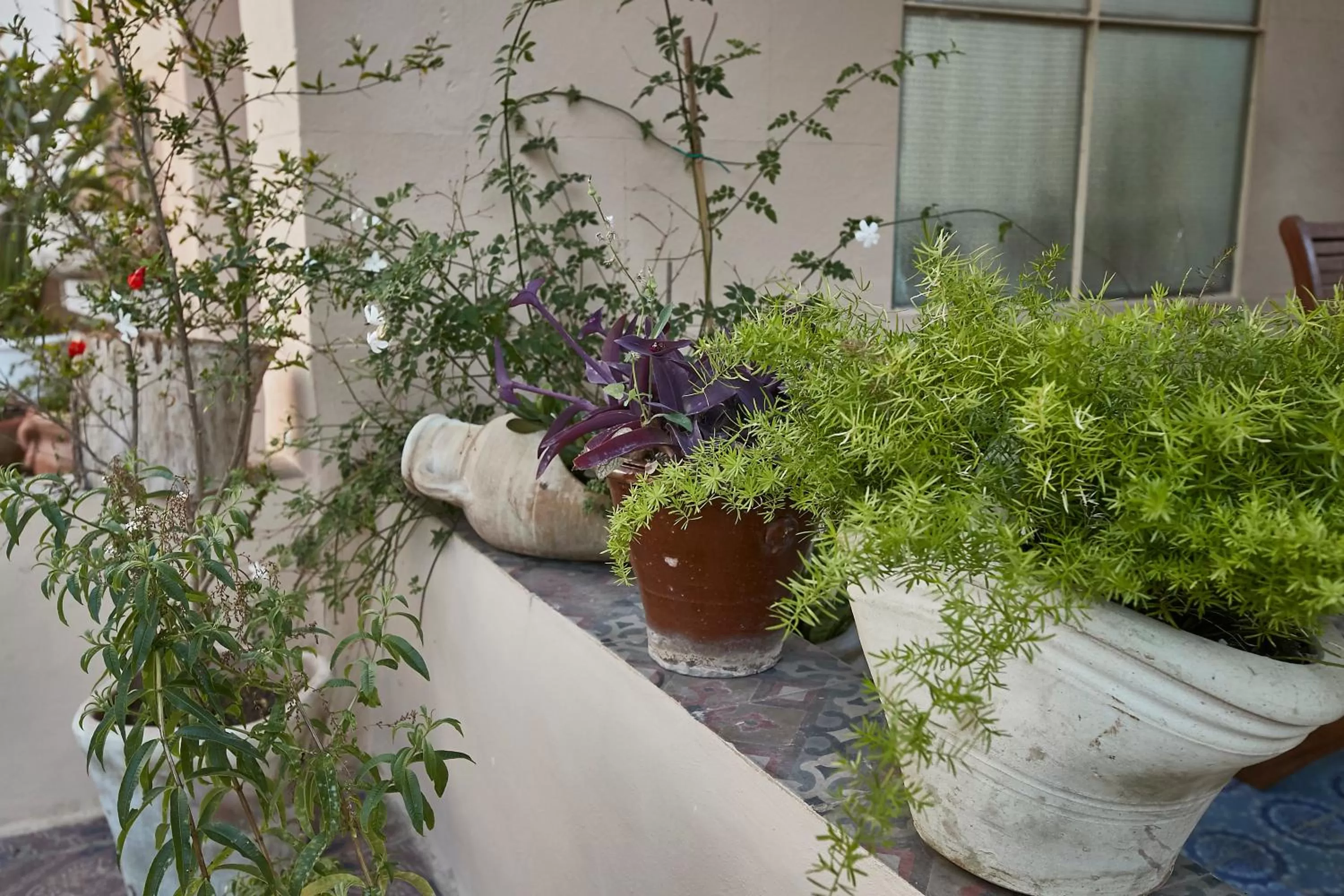 Balcony/Terrace in Dimora La Commare
