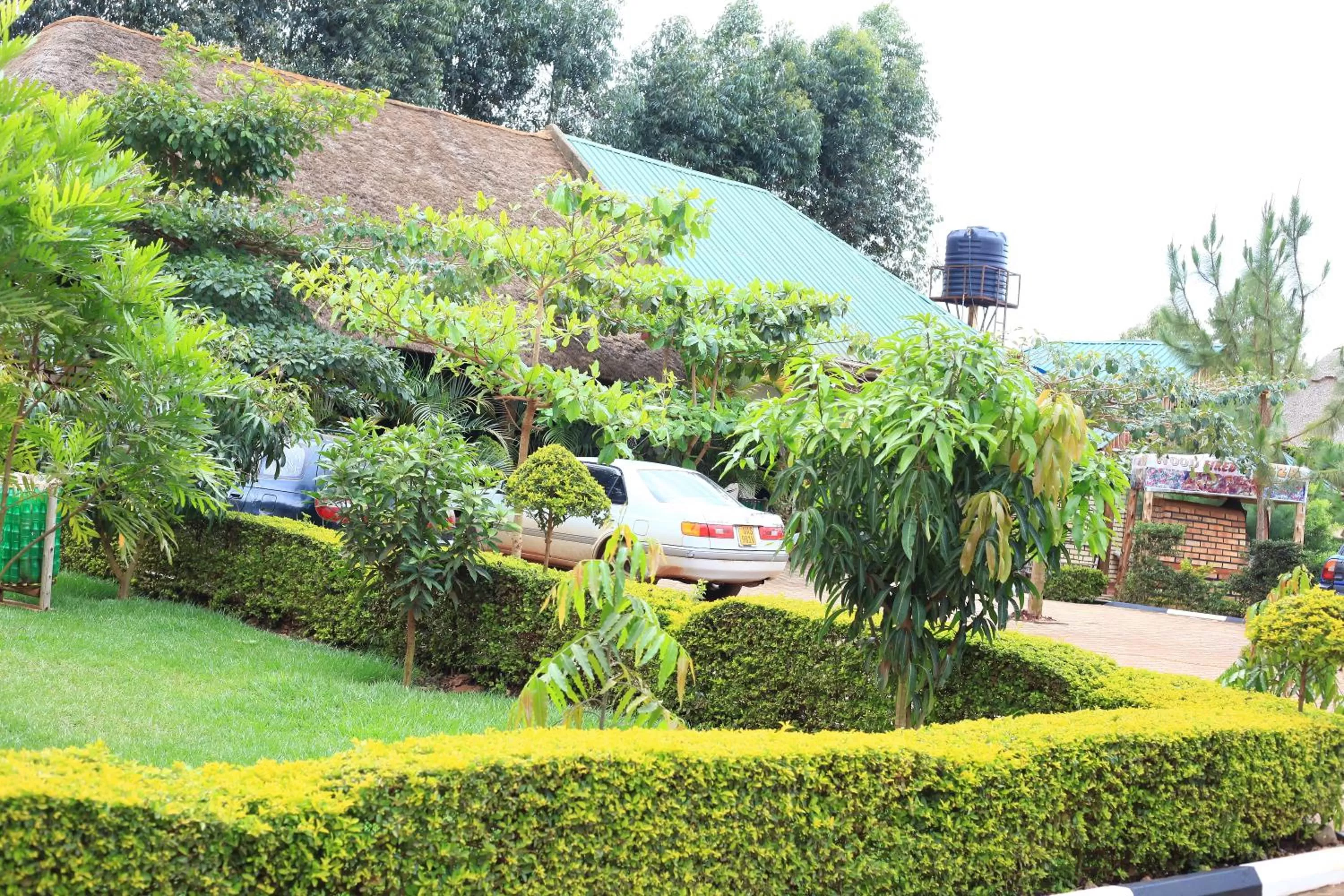 Garden in Elite Backpackers Services