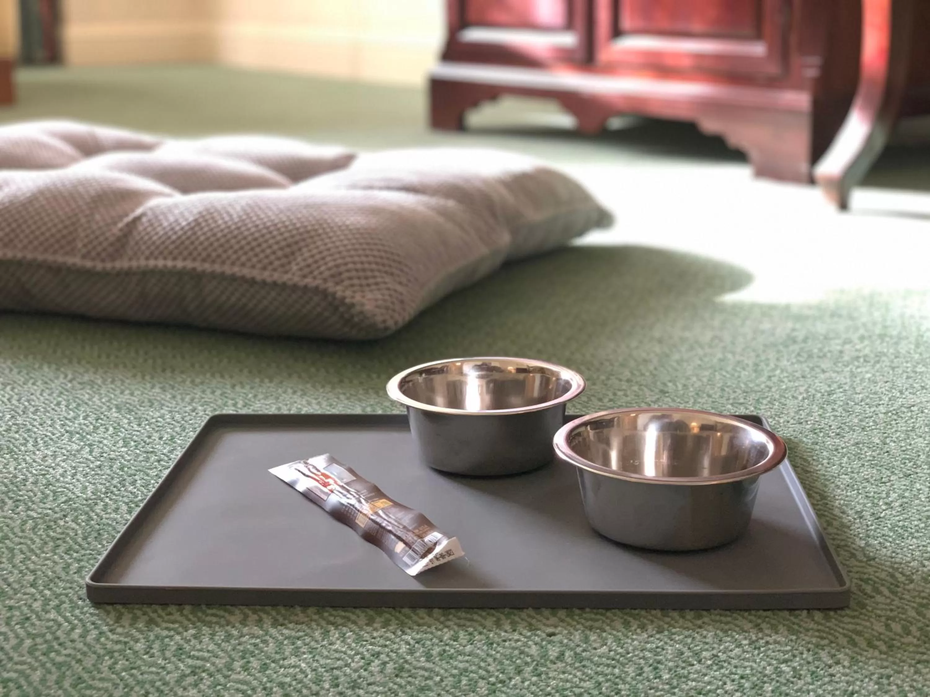 Pets in The Bristol Hotel Campbell San Jose