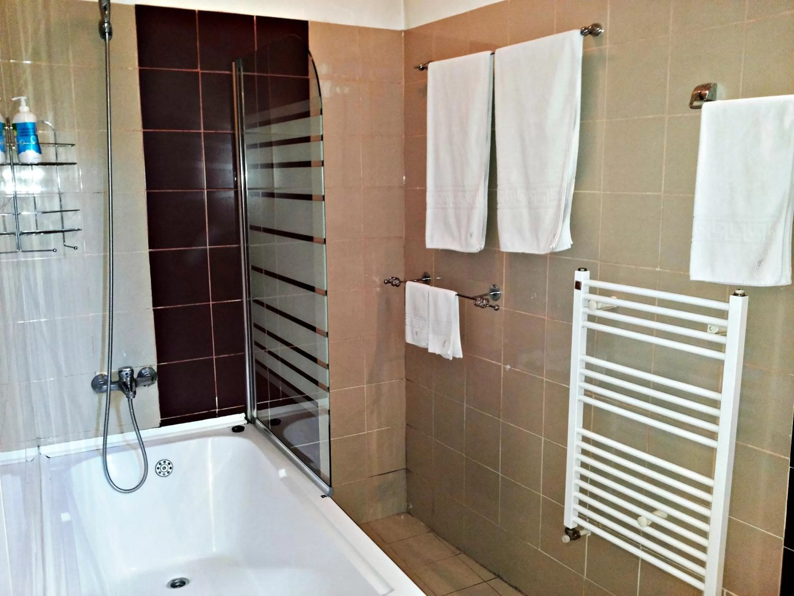 Bathroom in Lucas 10 Apartments