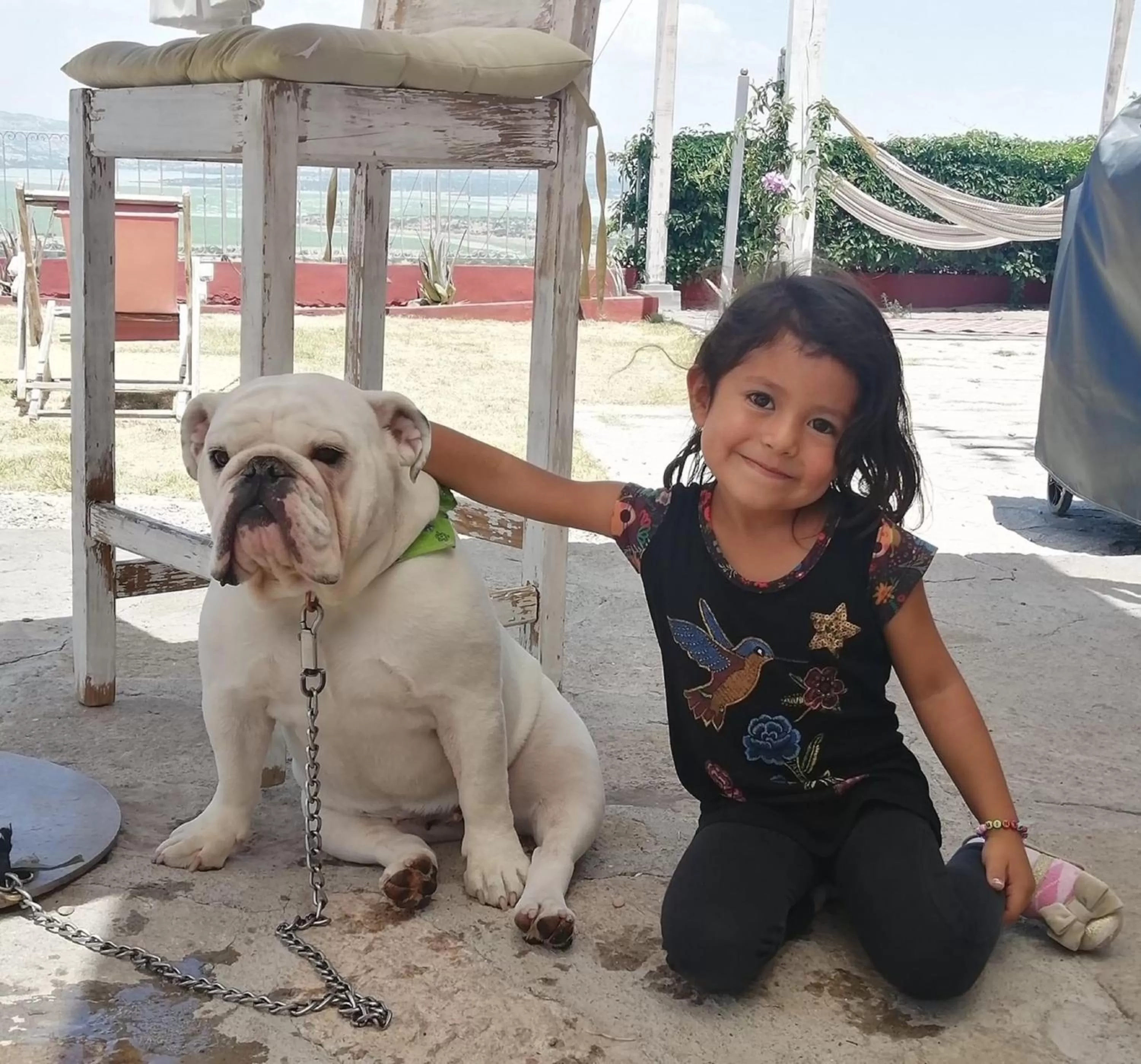 Pets in View Hotel Boutique