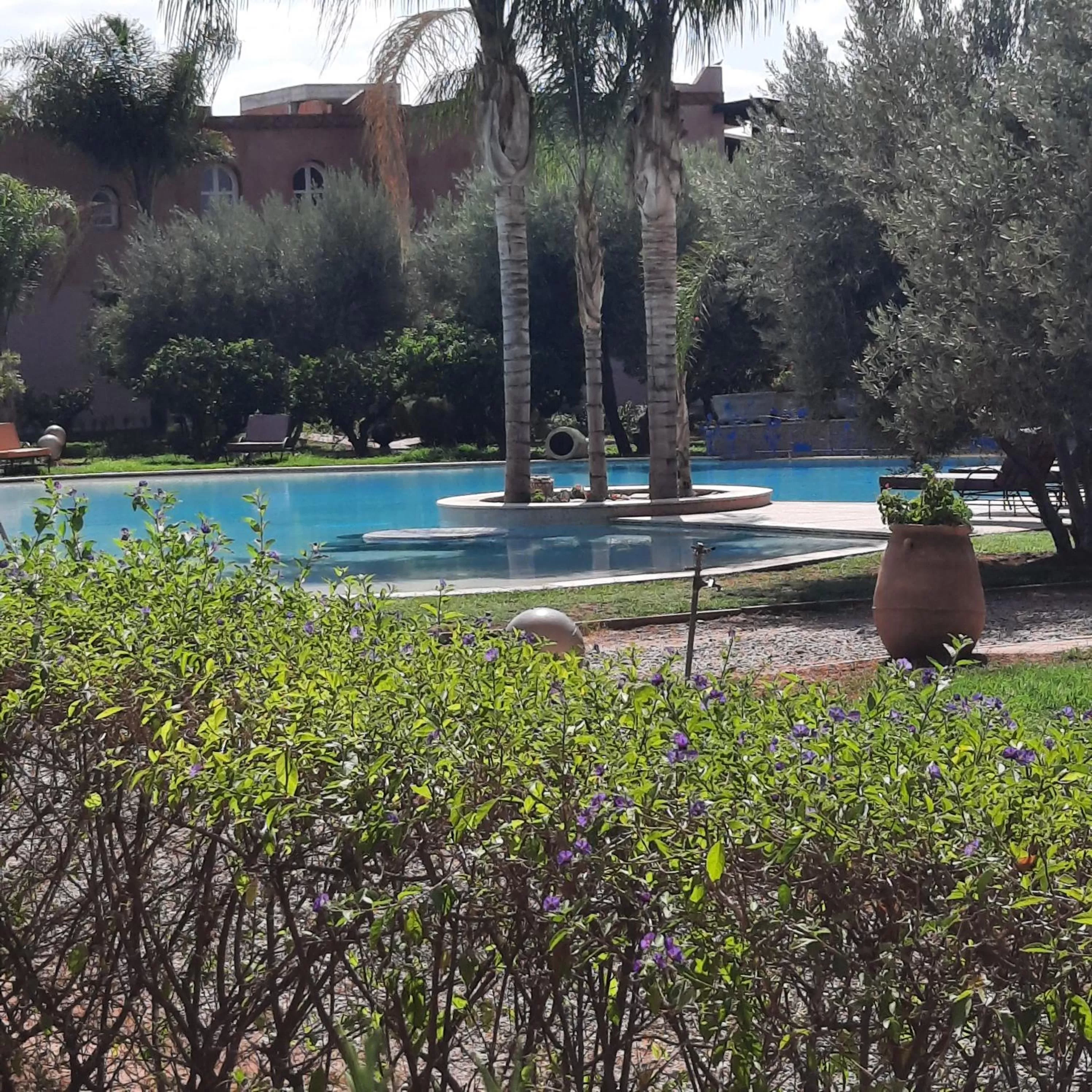 Swimming Pool in Résidence Habiba