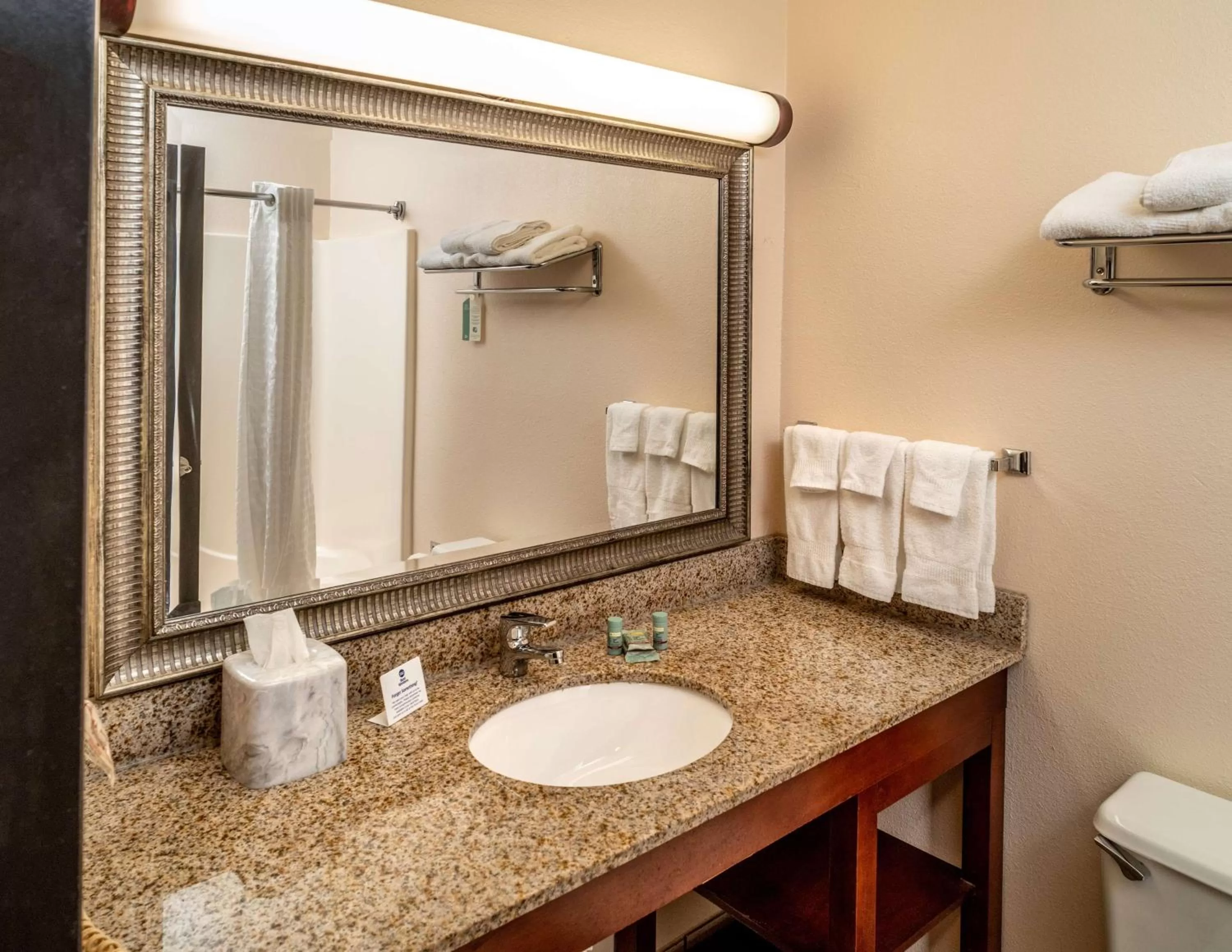 Executive King Room - Smoking in Best Western Huntington Mall Inn