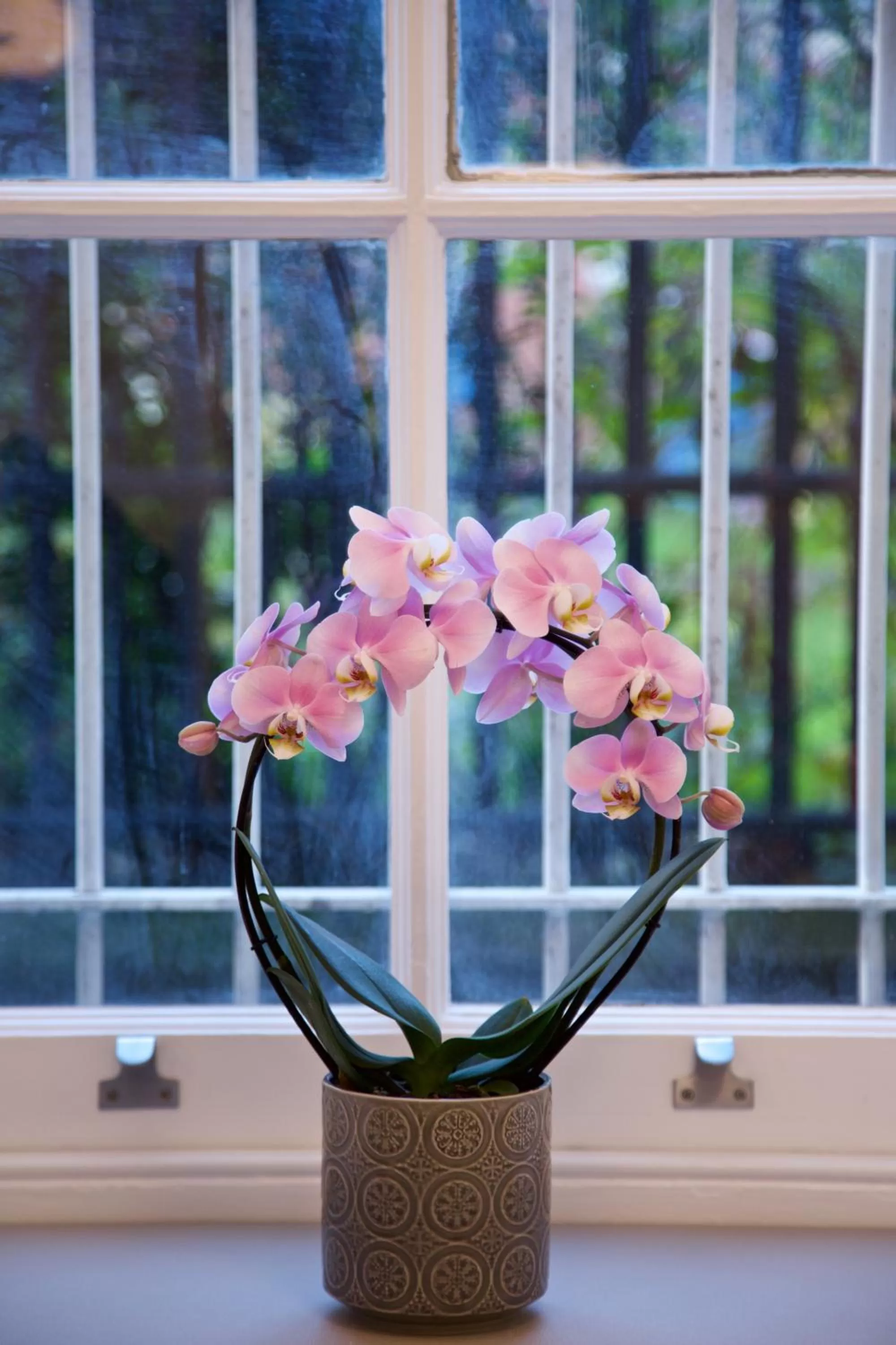 Decorative detail in The Z Hotel Covent Garden