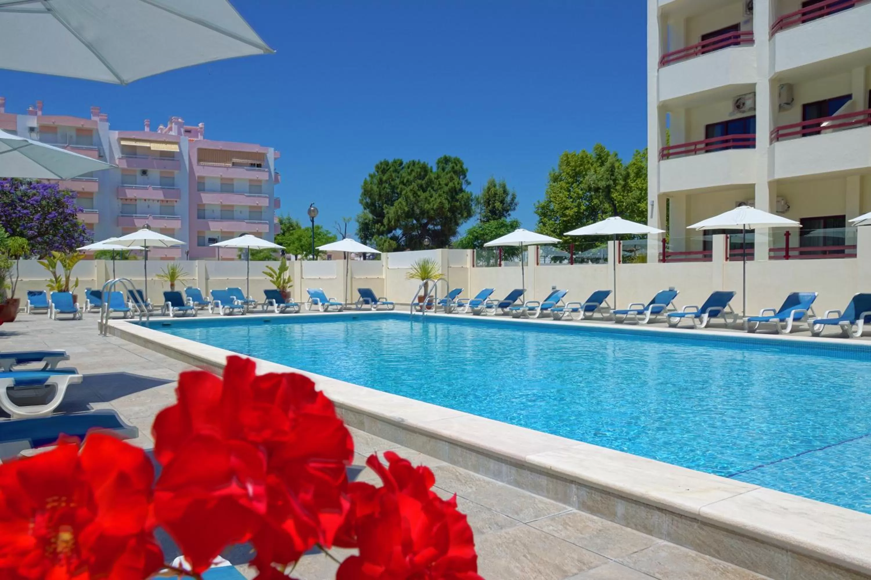 Swimming pool in Hotel Alba
