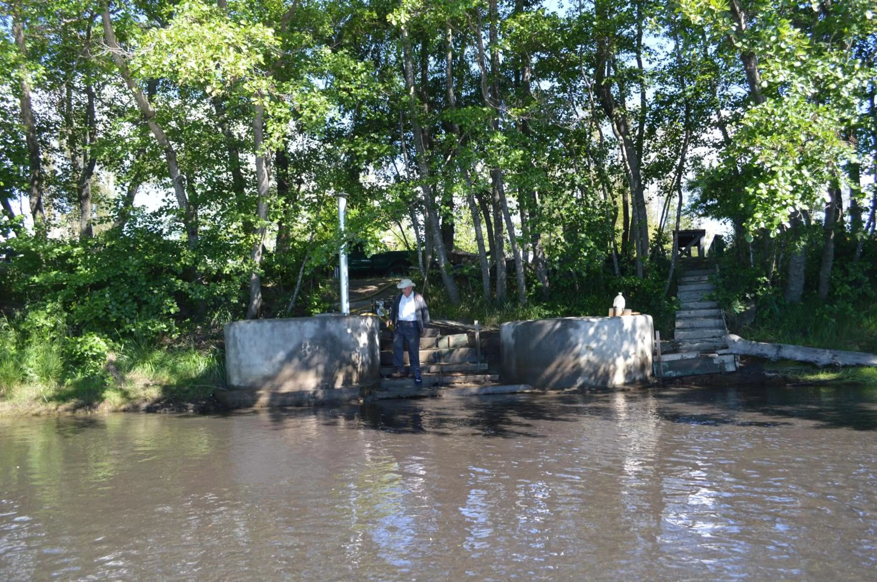 Other Animals in Coyunche Cabañas y Camping Laja & San Rosendo