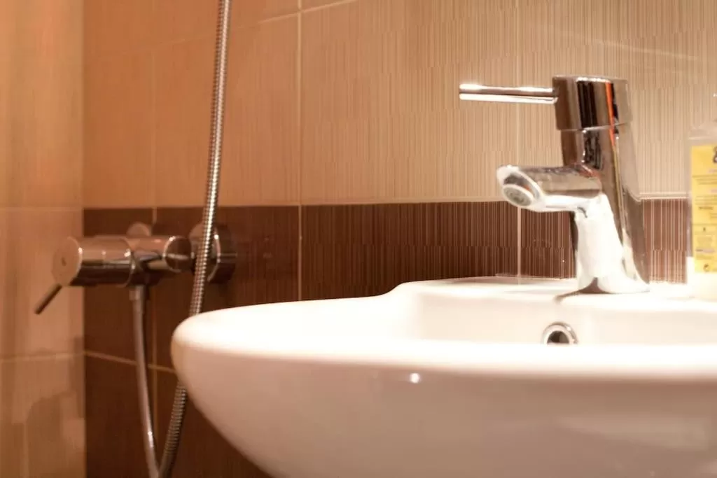 Bathroom in Veggie Garden Athens B&B