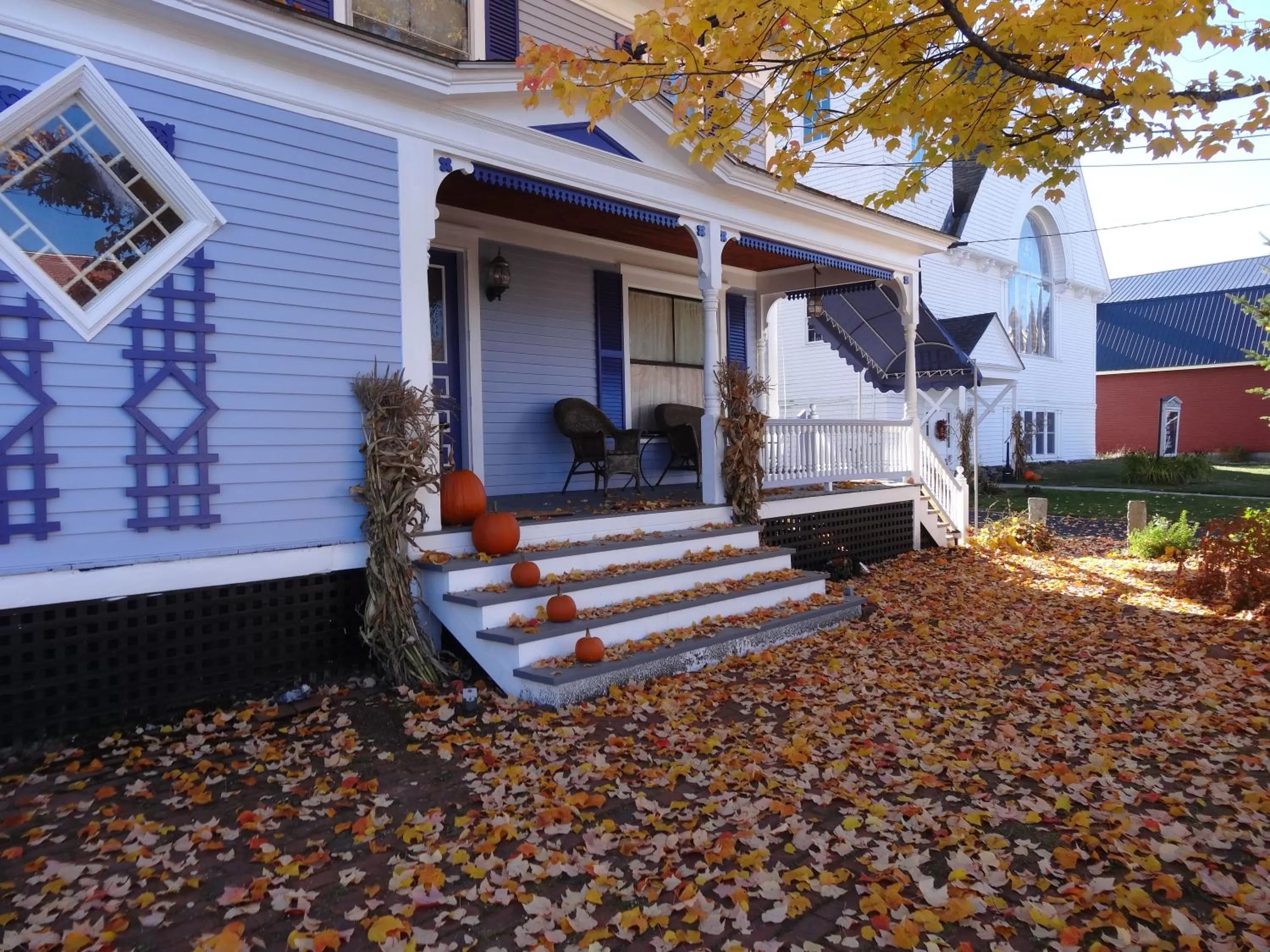 Patio in Holidae House Bed & Breakfast