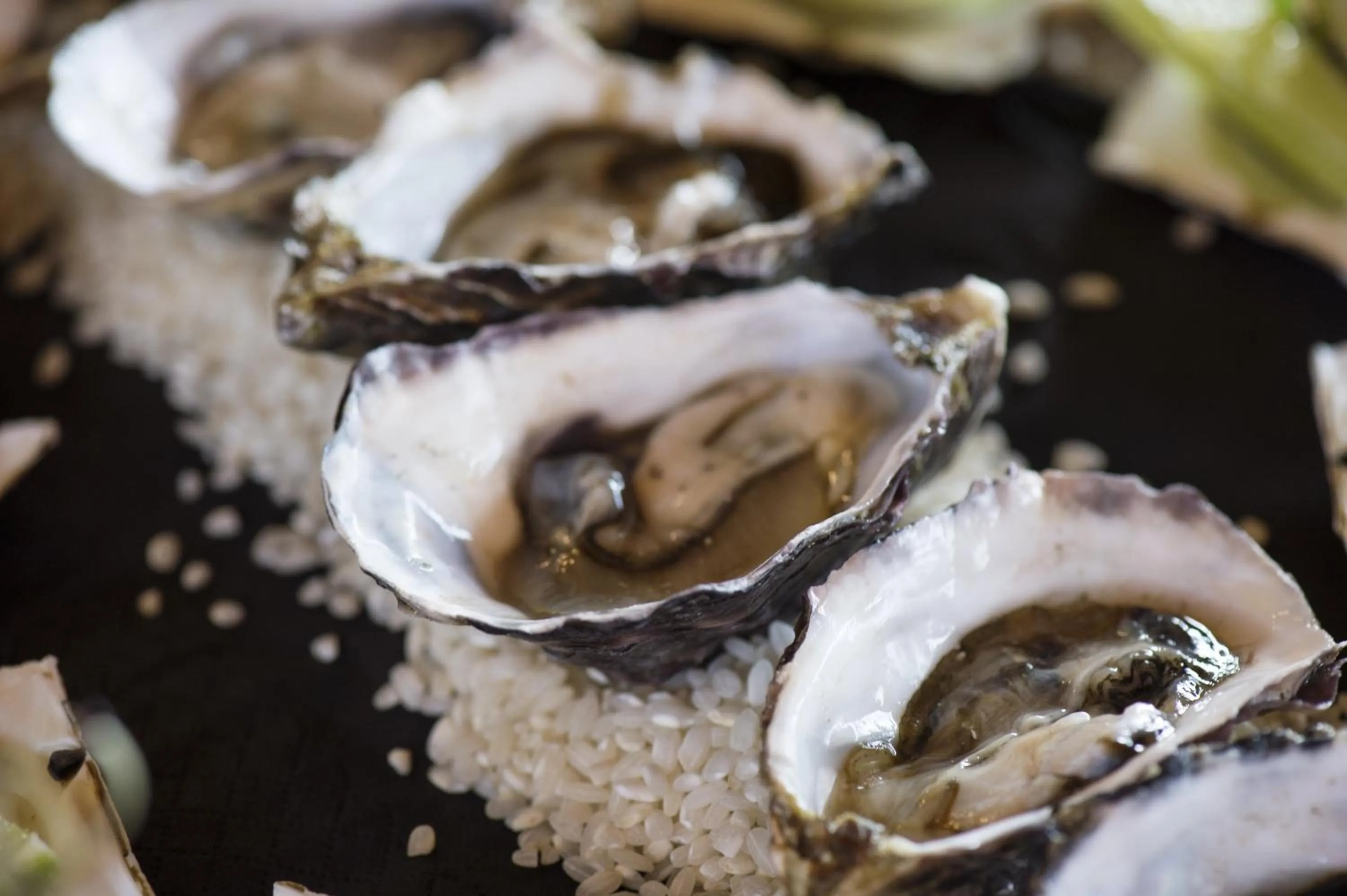 Food close-up in Cicada Lodge