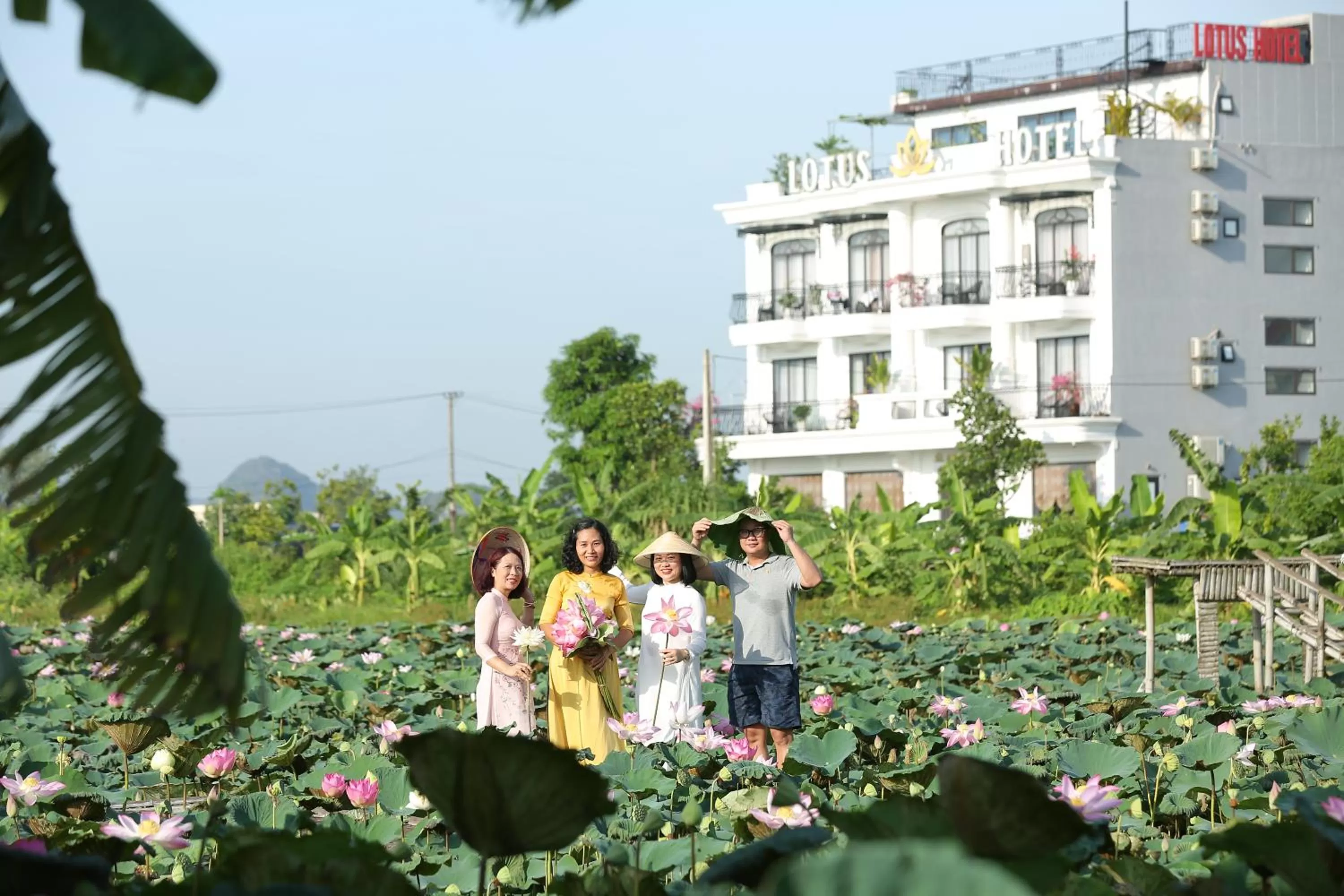 Property building in Lotus Hotel Ninh Bình