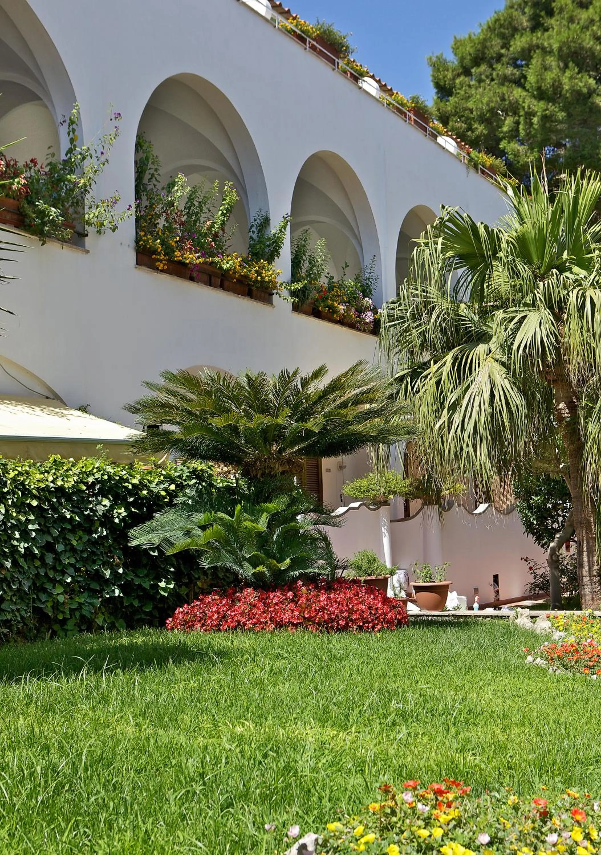 Garden in Hotel San Felice