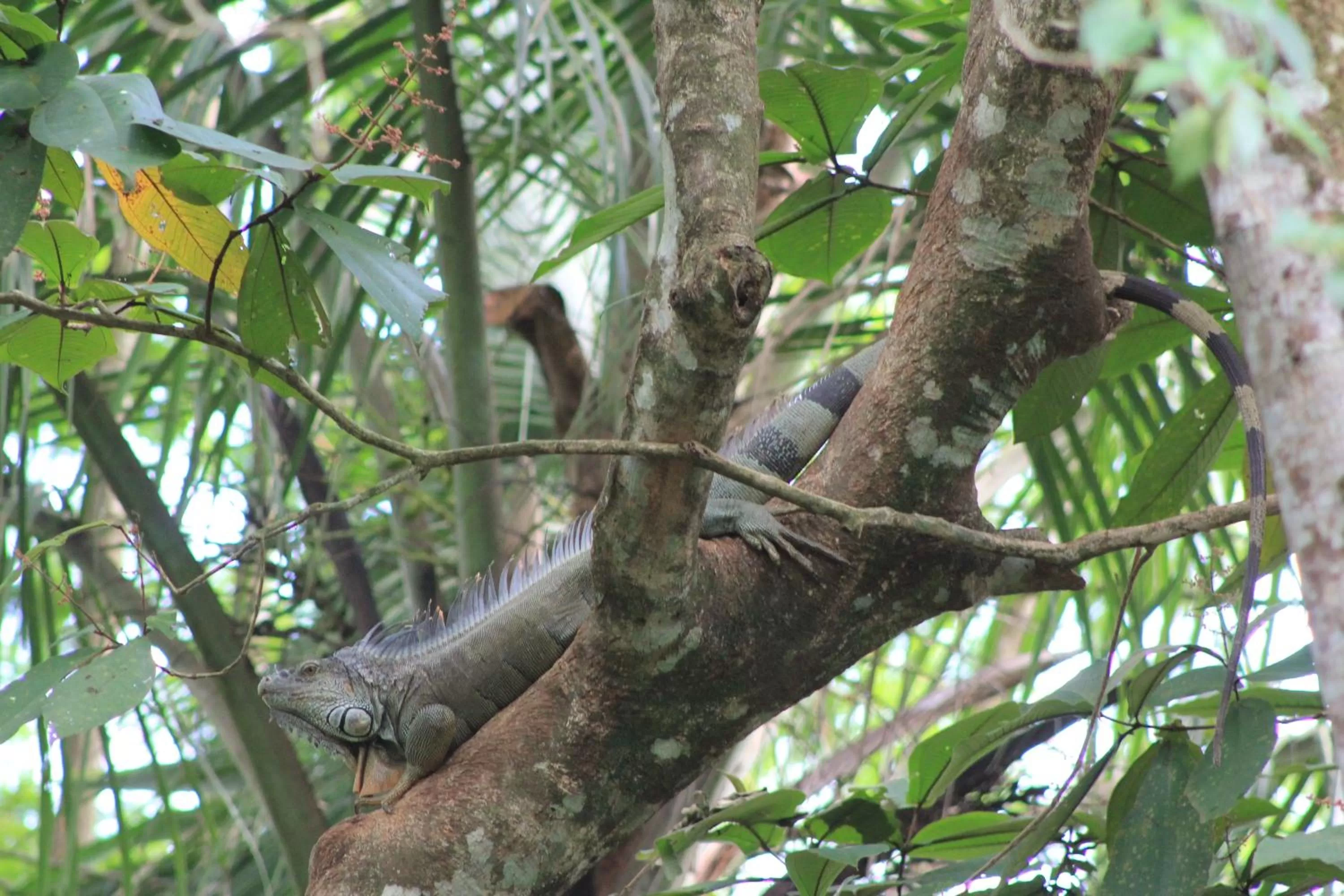 Area and facilities in Hotel Monte Real