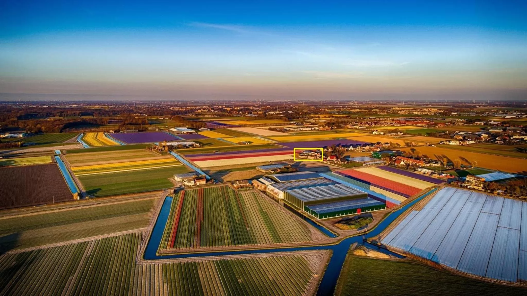 Text overlay, Bird's-eye View in Flowerbed