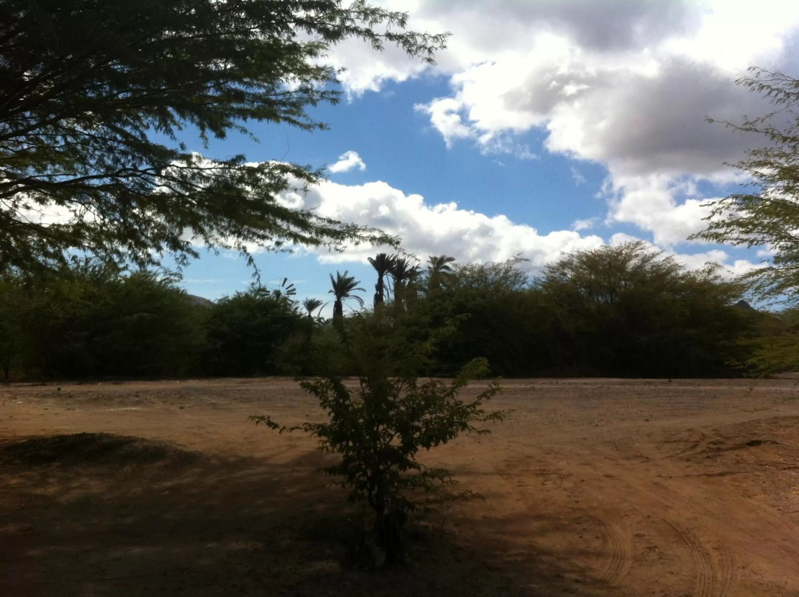 Day in Villa Morabeza Guest House