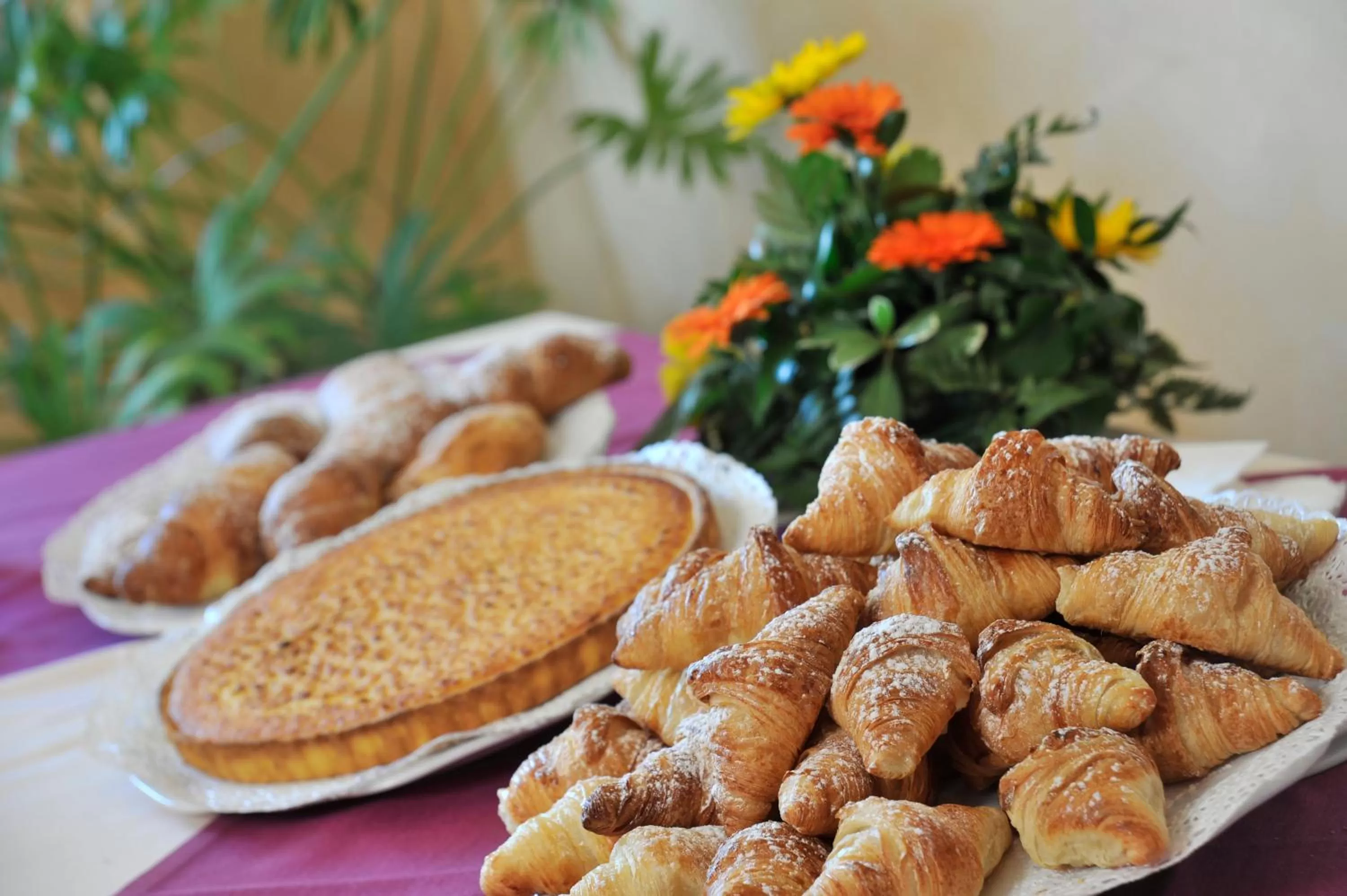 Food and drinks in Tulip Inn Turin South