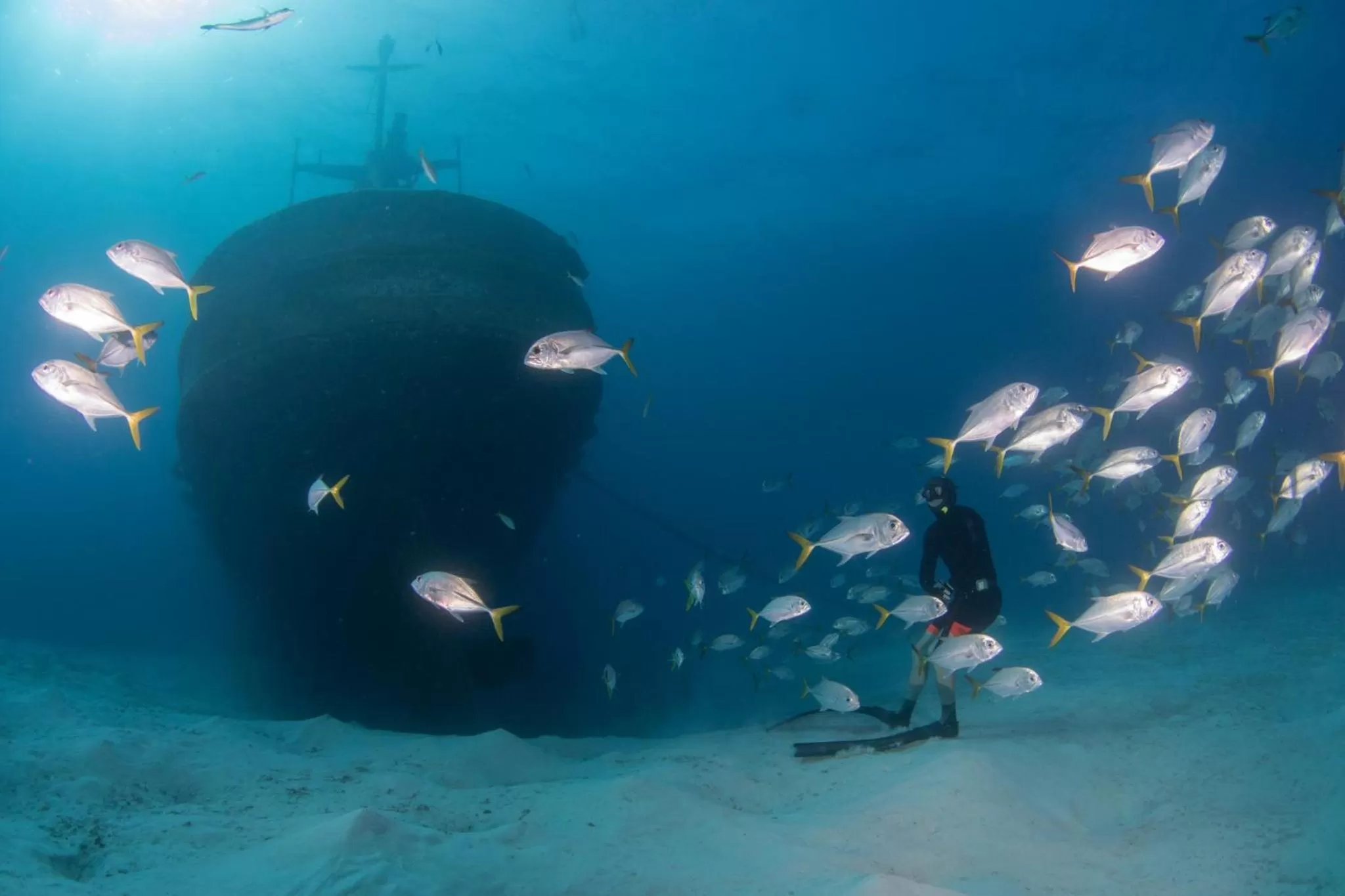 Nearby landmark in Holiday Inn Resort Grand Cayman by IHG