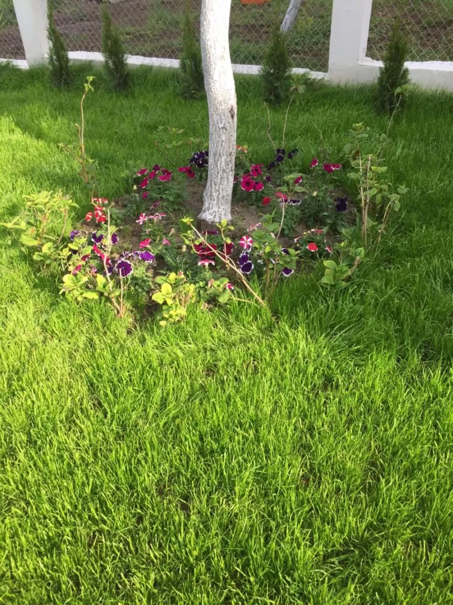 Garden in Family Hotel Malibu