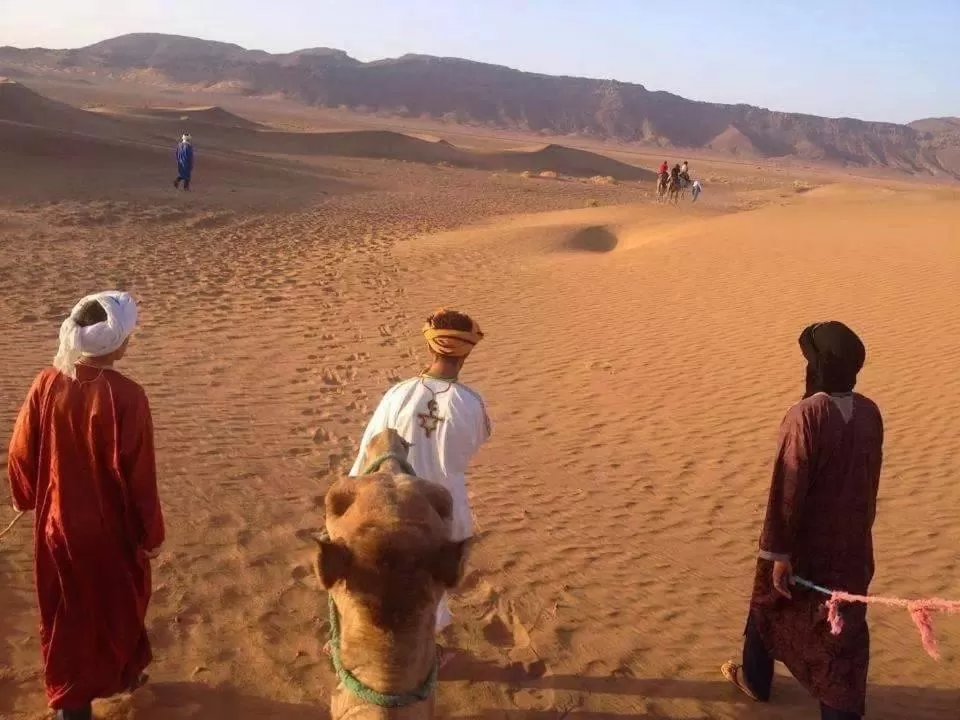 Activities in Riad Dar Attika