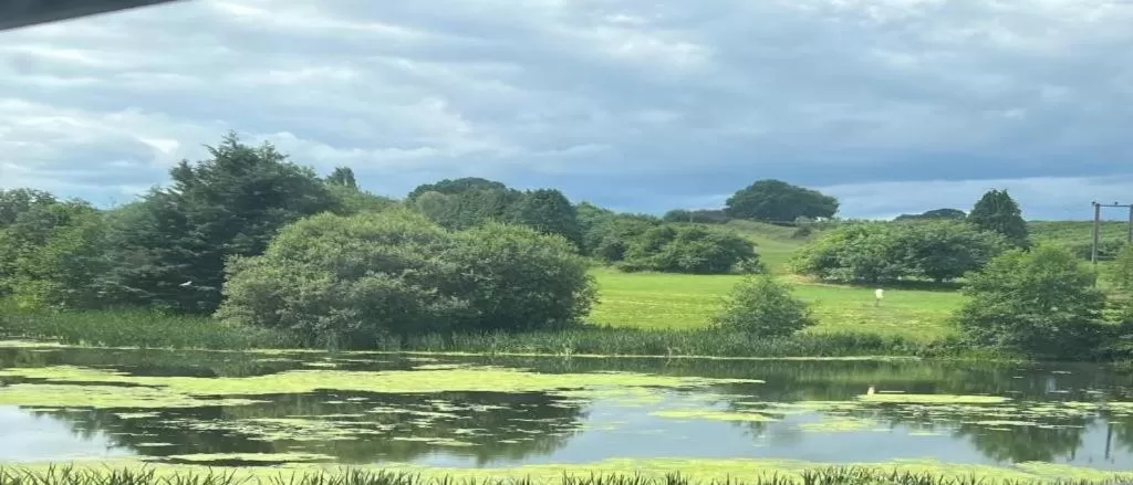 View (from property/room) in Cadmore Lodge Bed & Breakfast