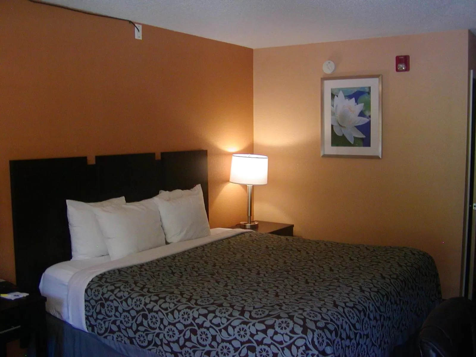 Photo of the whole room, Bed in Days Inn by Wyndham Marietta White Water