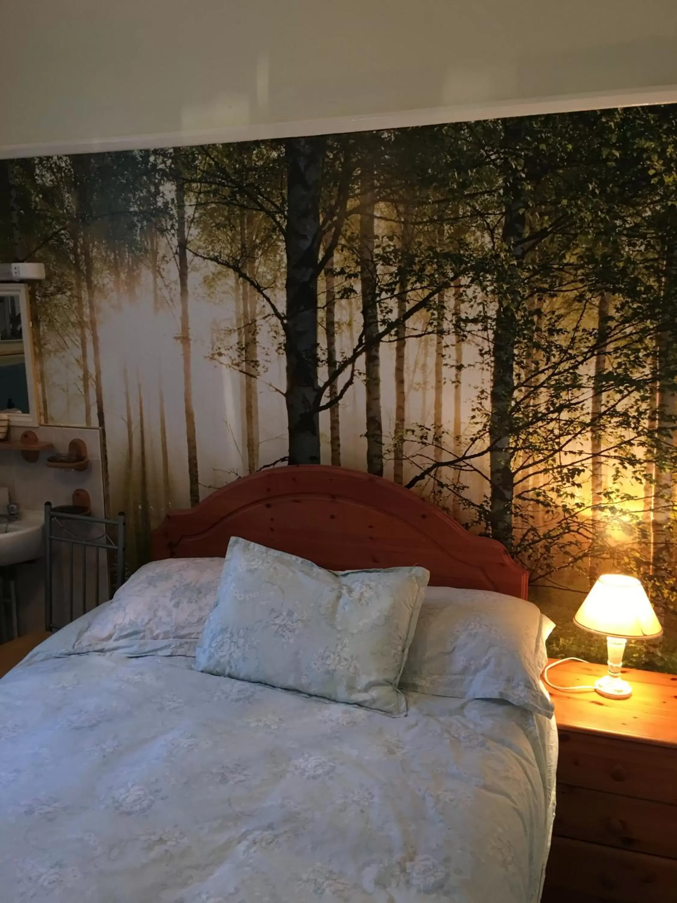 Single Room with Shared Bathroom and Toilet in Jasmine House Single Room with Shared Bathroom and Toilet in Jasmine House