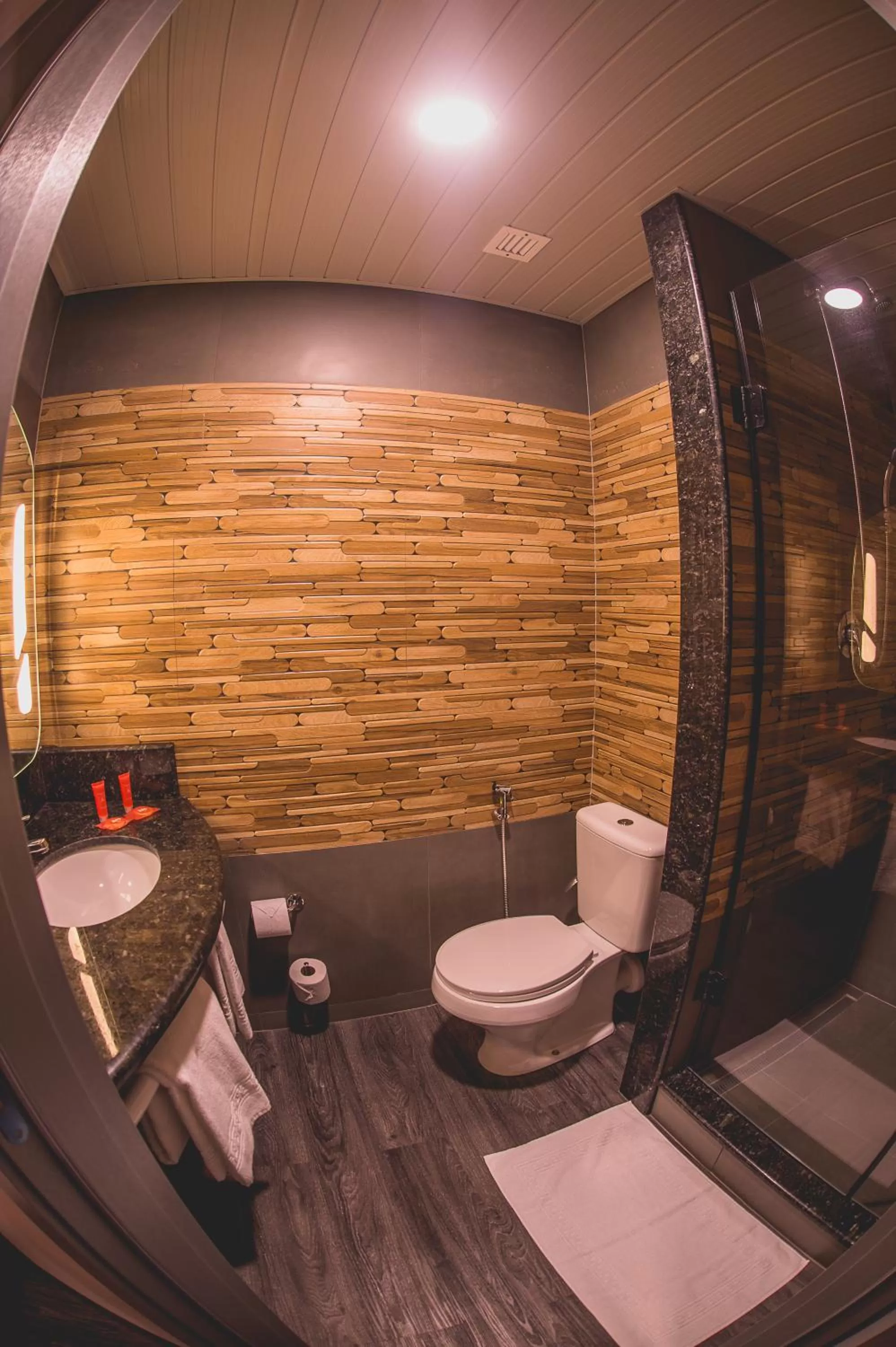 Toilet in ibis Carlos Barbosa