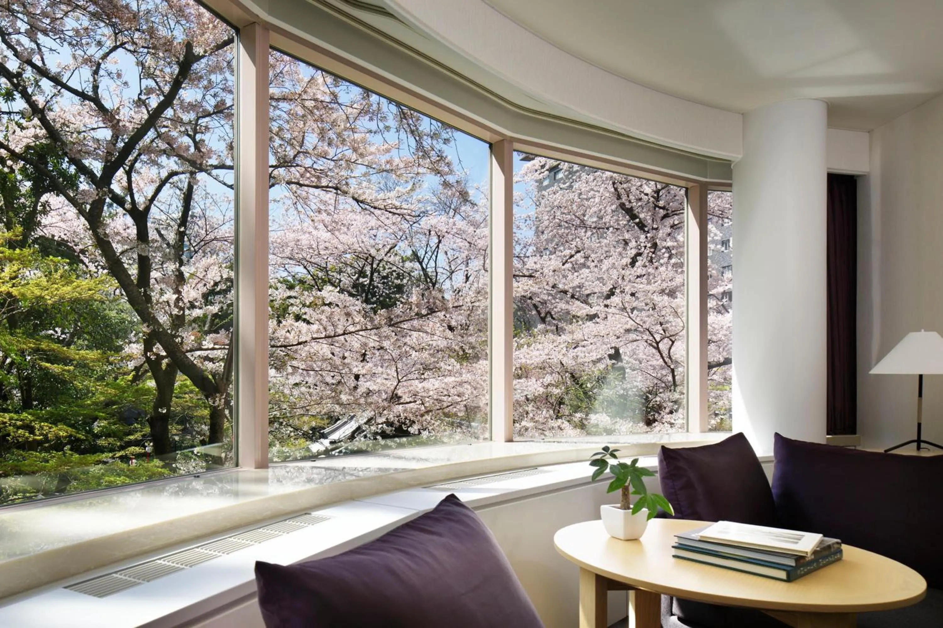 Spring in The Prince Sakura Tower Tokyo, Autograph Collection