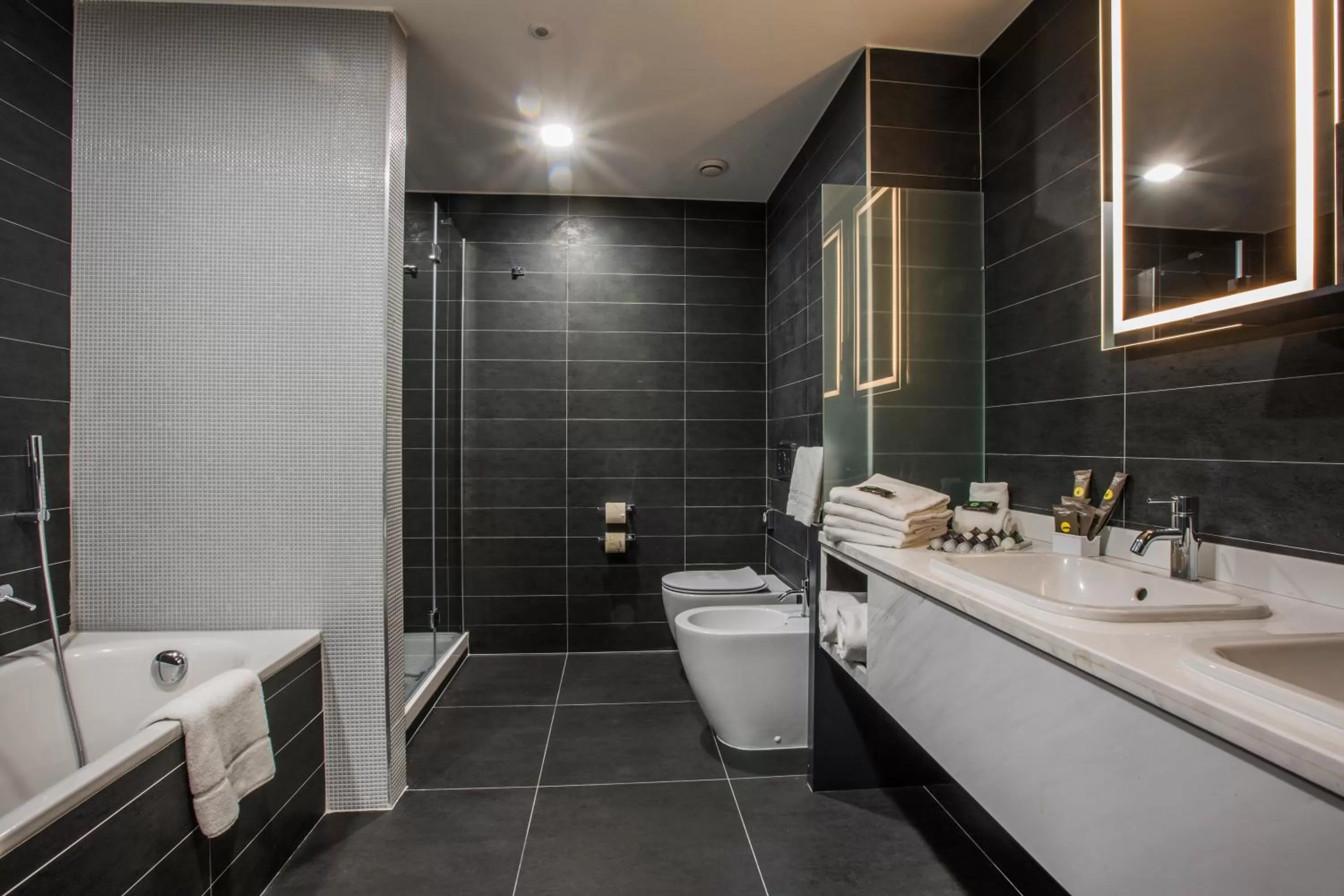 Bathroom in Novotel Roma Eur