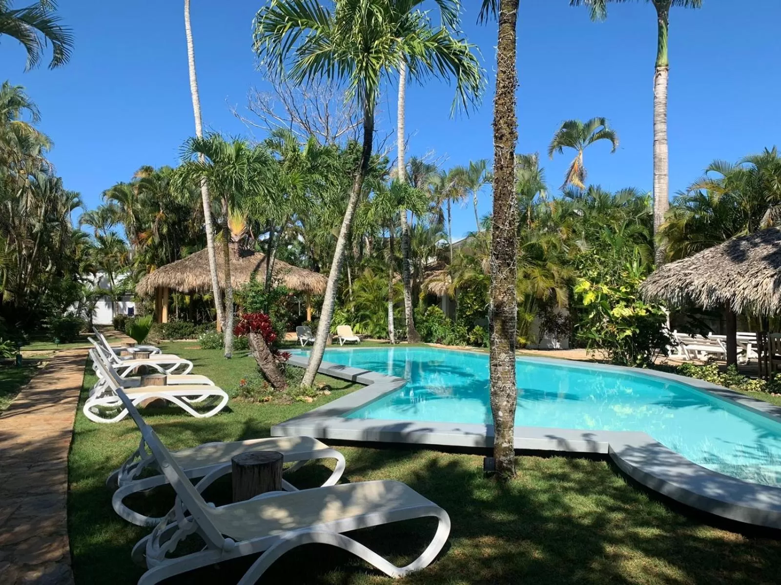 Swimming pool in Hotel La Tortuga