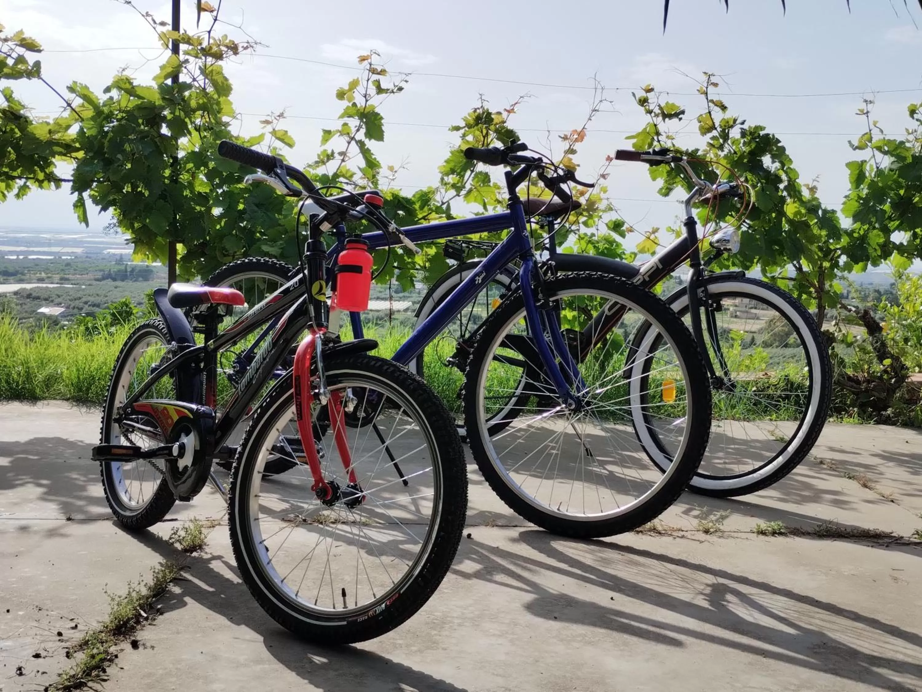 Ronnavona Casa Vacanze B&B