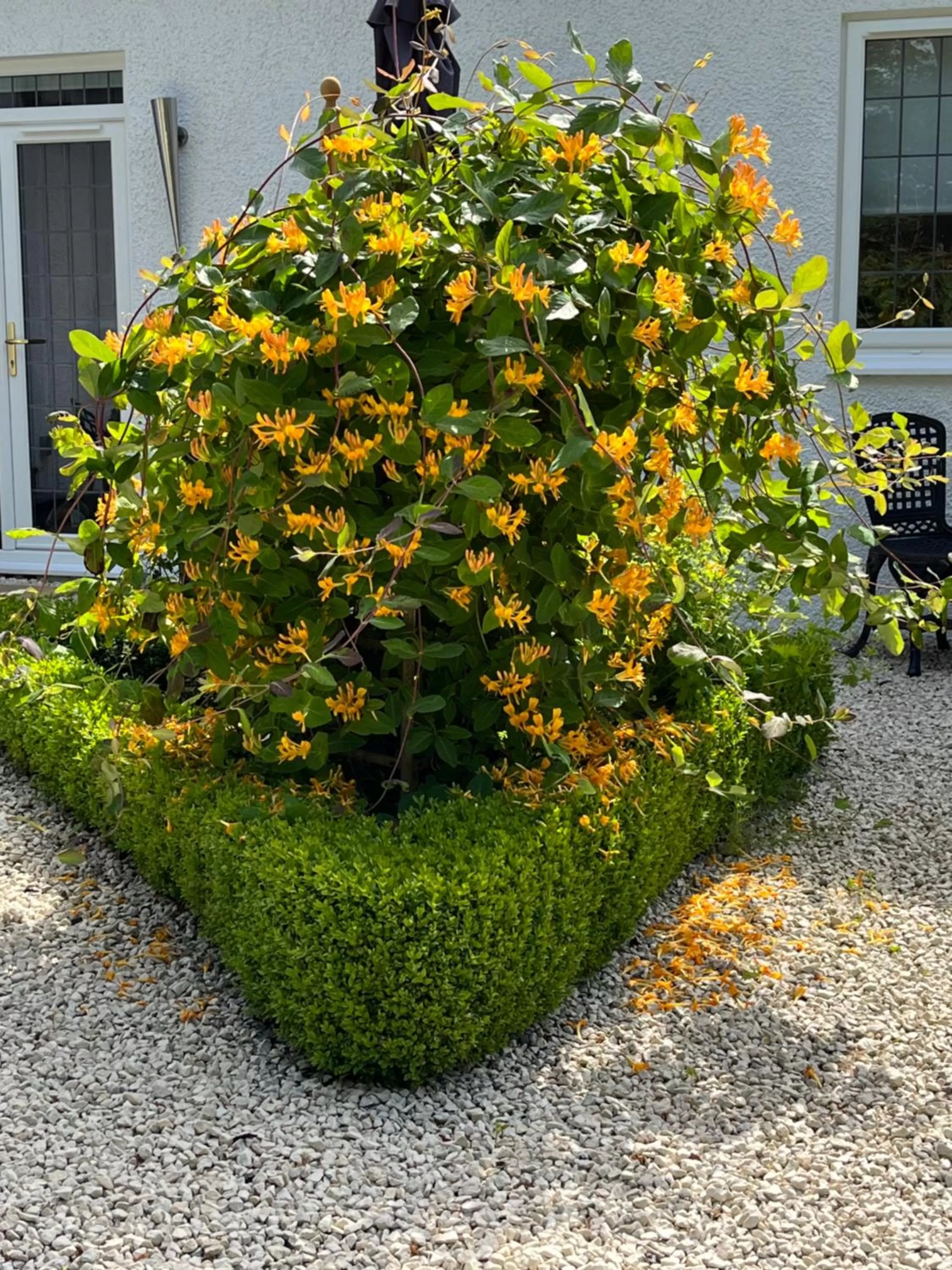 Garden in Retreat at The Knowe Auchincruive Estate