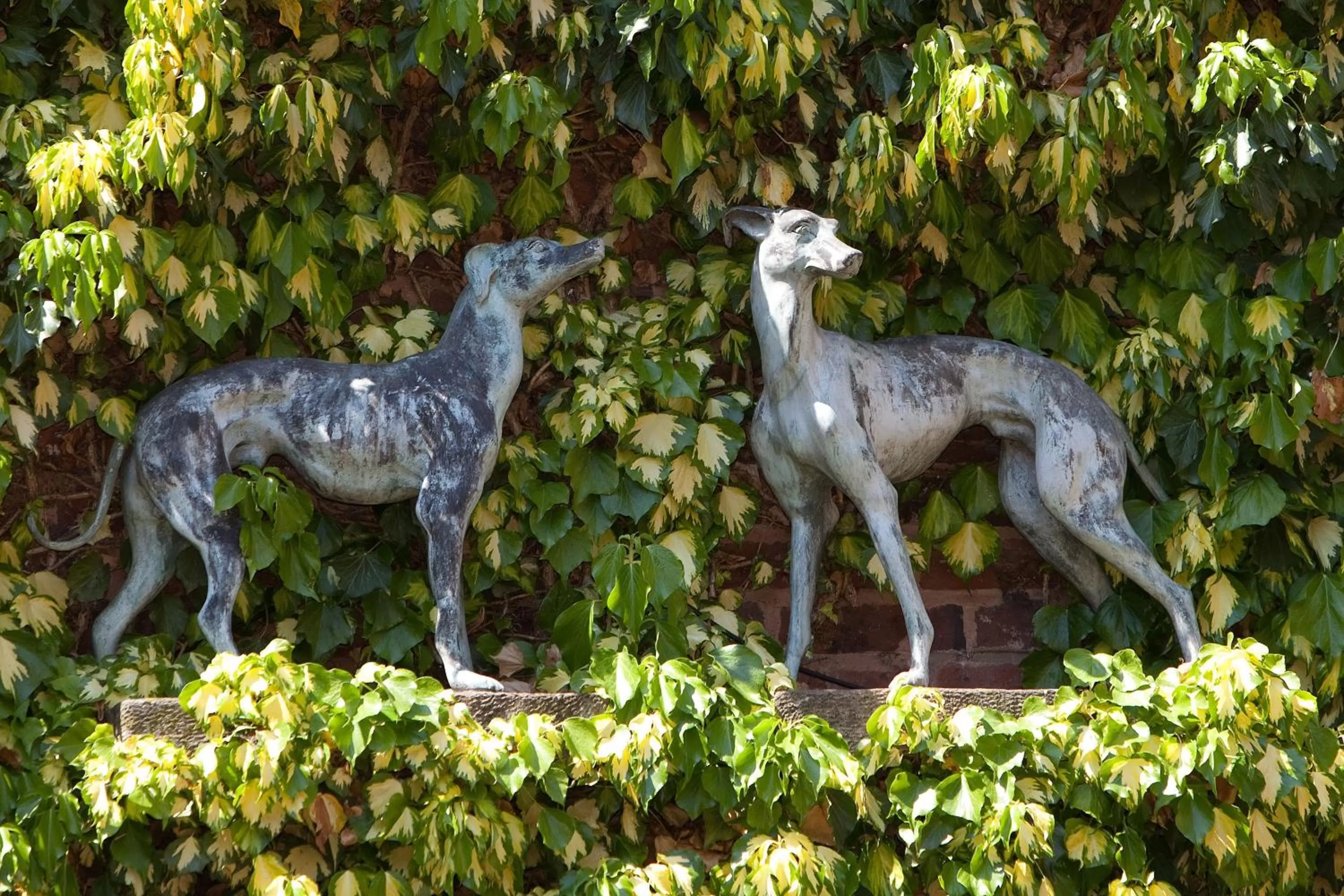Decorative detail in The Greyhound Coaching Inn