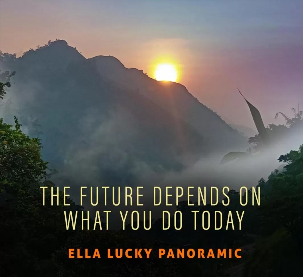 Ella Lucky Panoramic