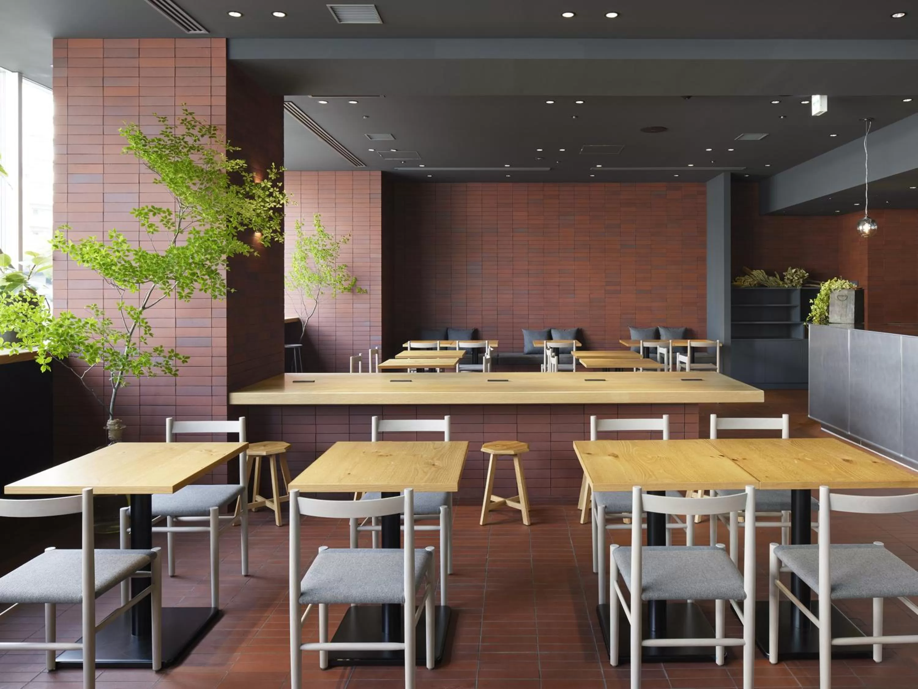 Food and drinks in hotel androoms Sapporo Susukino