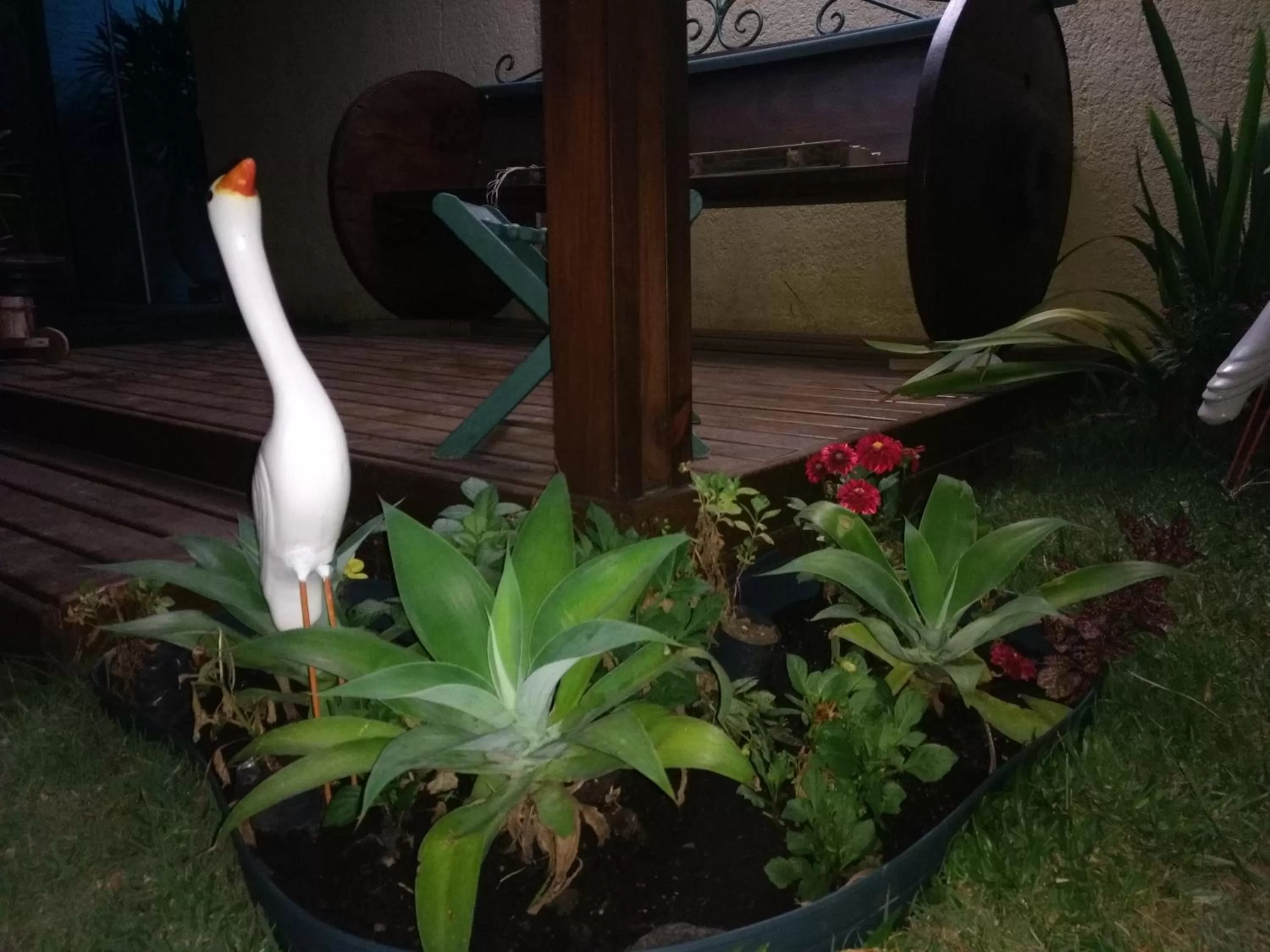 Garden in Pousada Santa Genoveva campeche