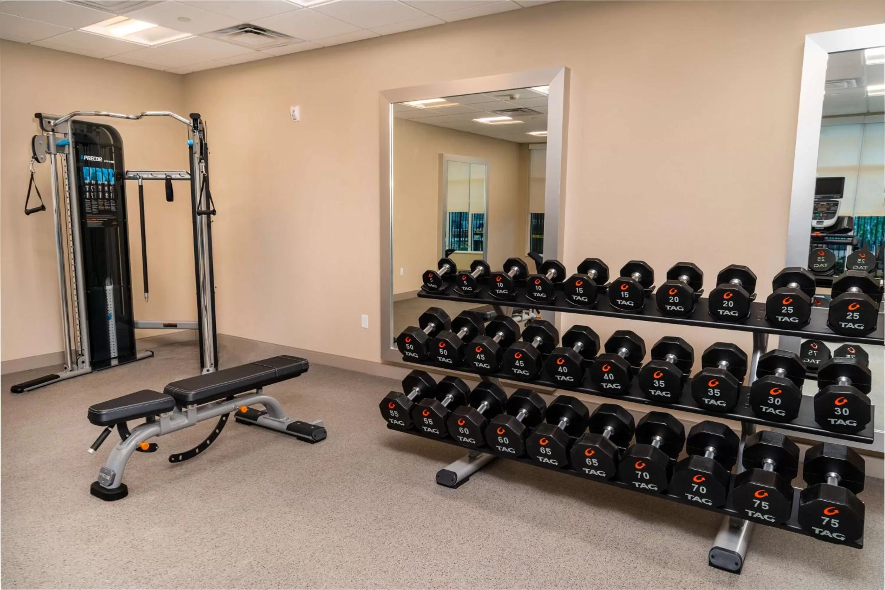 Fitness centre/facilities in Homewood Suites By Hilton Rancho Cordova, Ca
