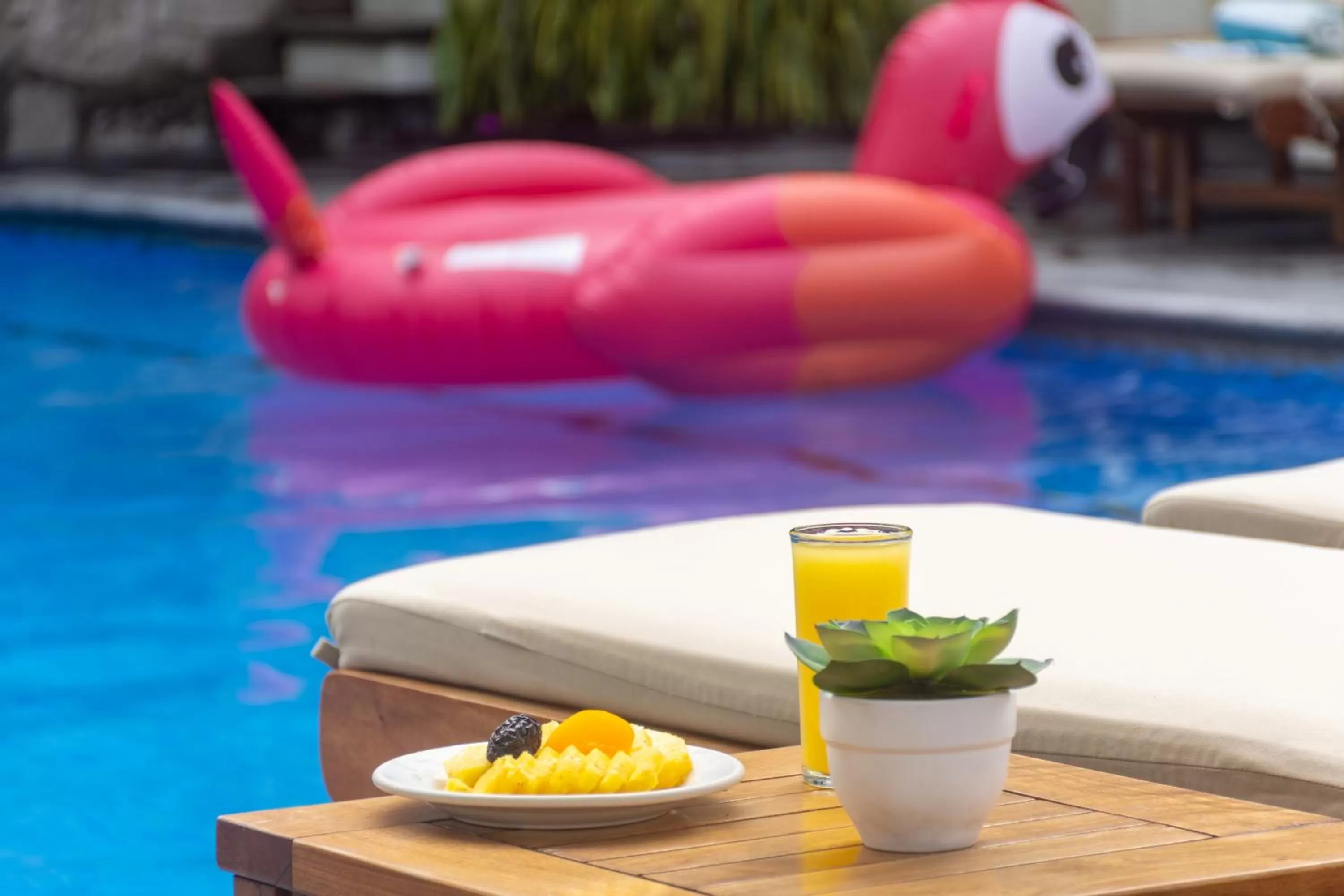 Swimming pool in Hotel Flamingo Inn