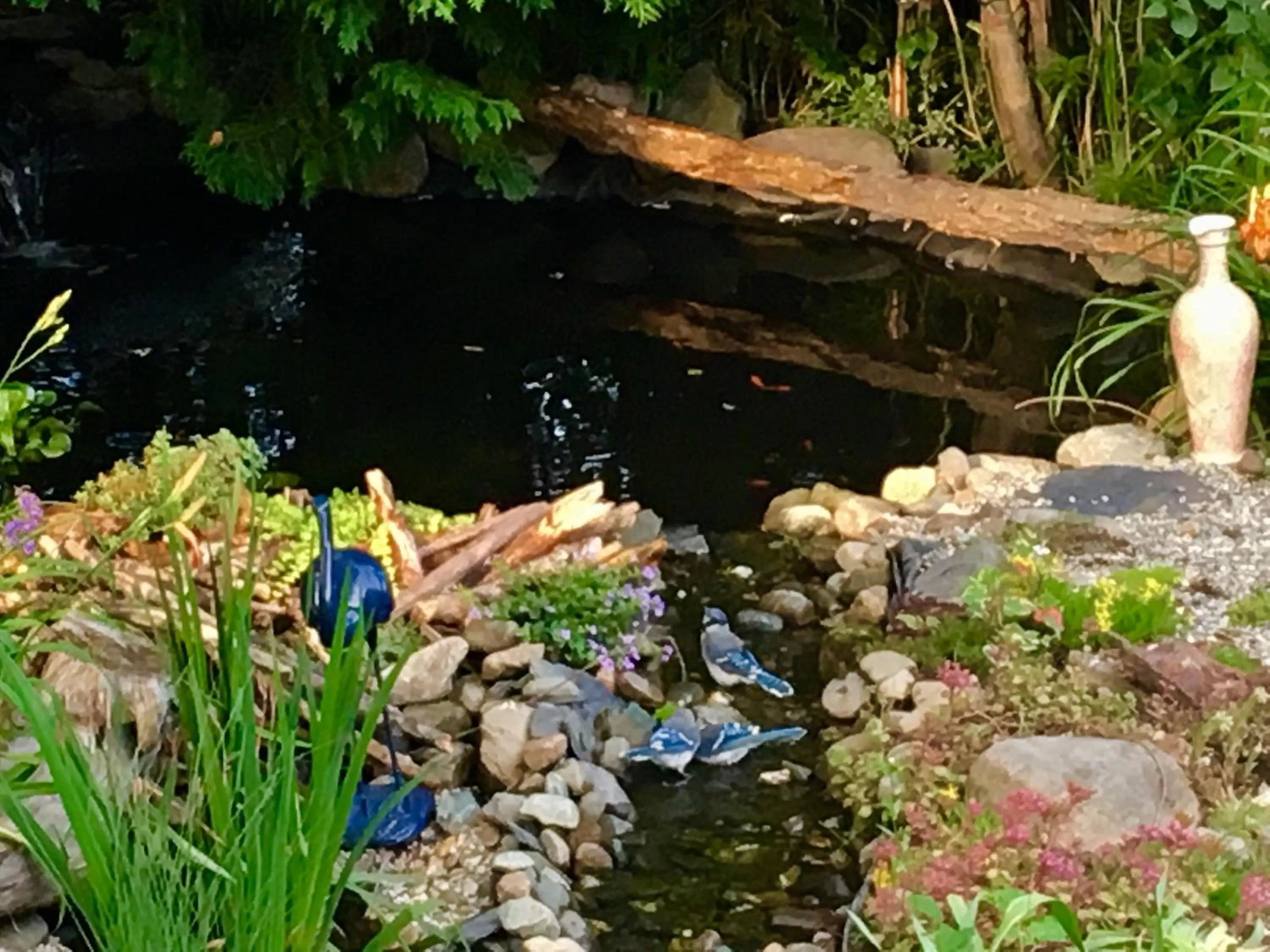 Property building in À Amour et Amitié