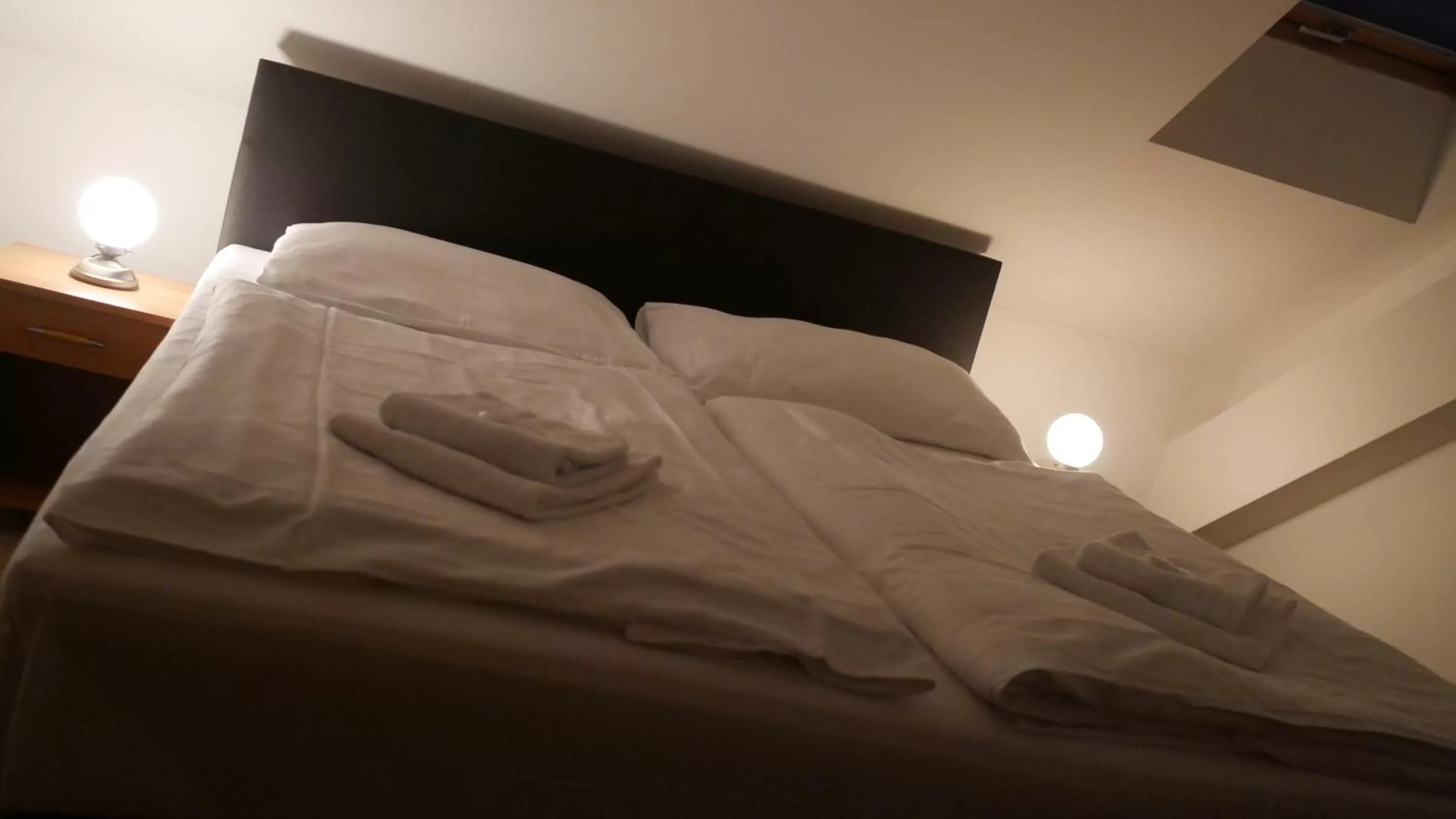 Bed in Hotel Bílý Koníček