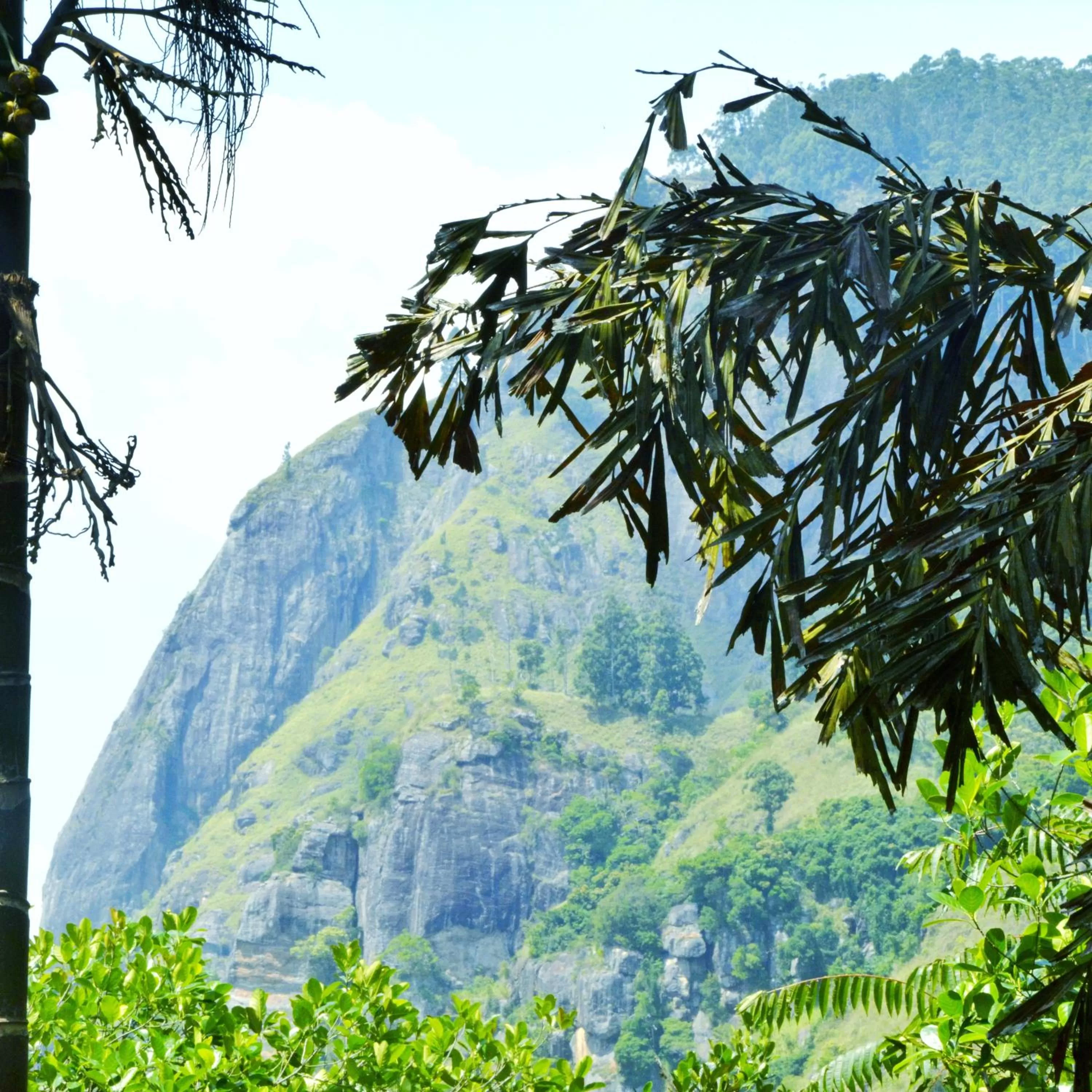 Natural landscape, Mountain View in Madushanka Resort