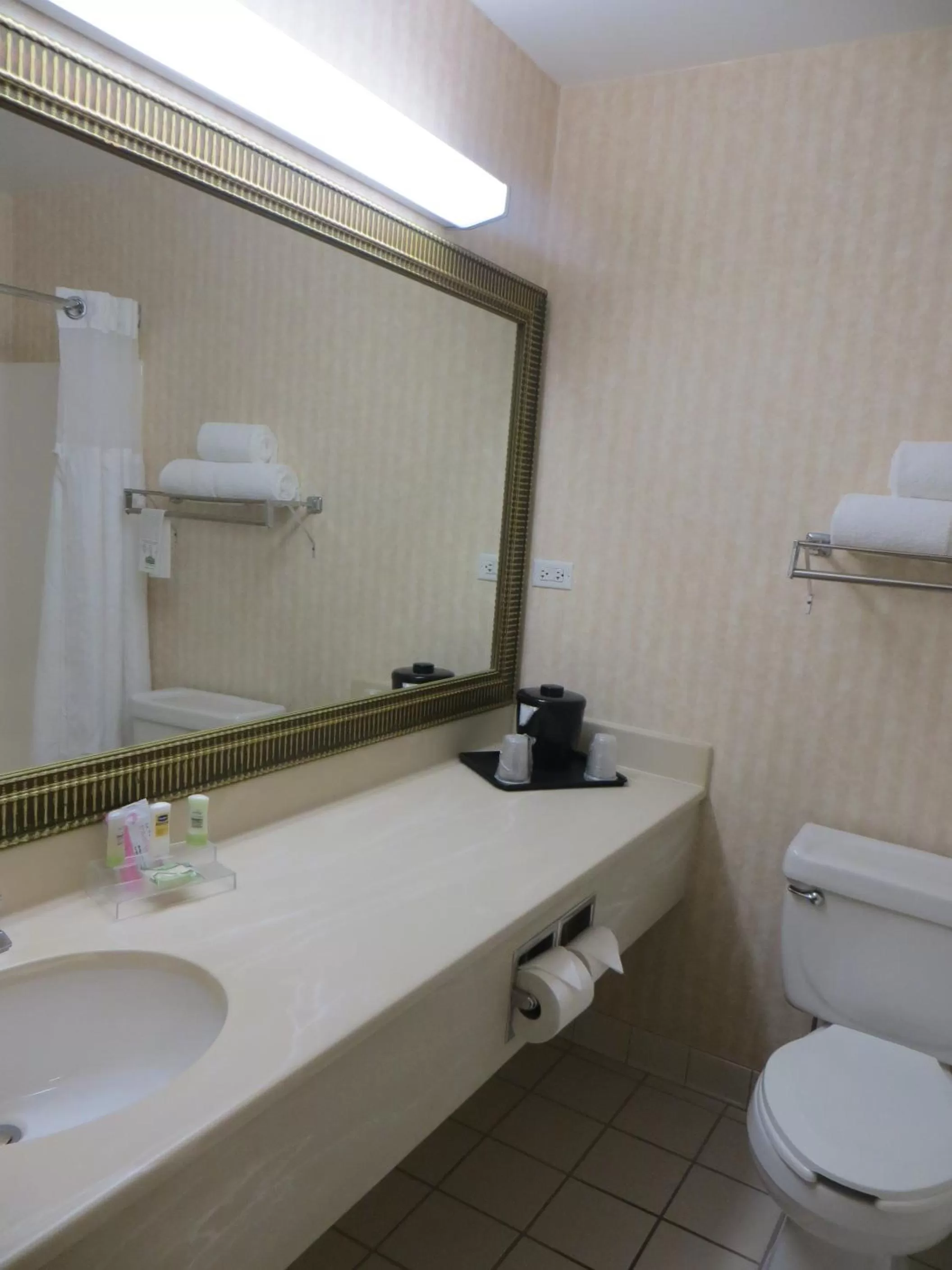 Bathroom in Country Inn & Suites by Radisson, Gurnee, IL