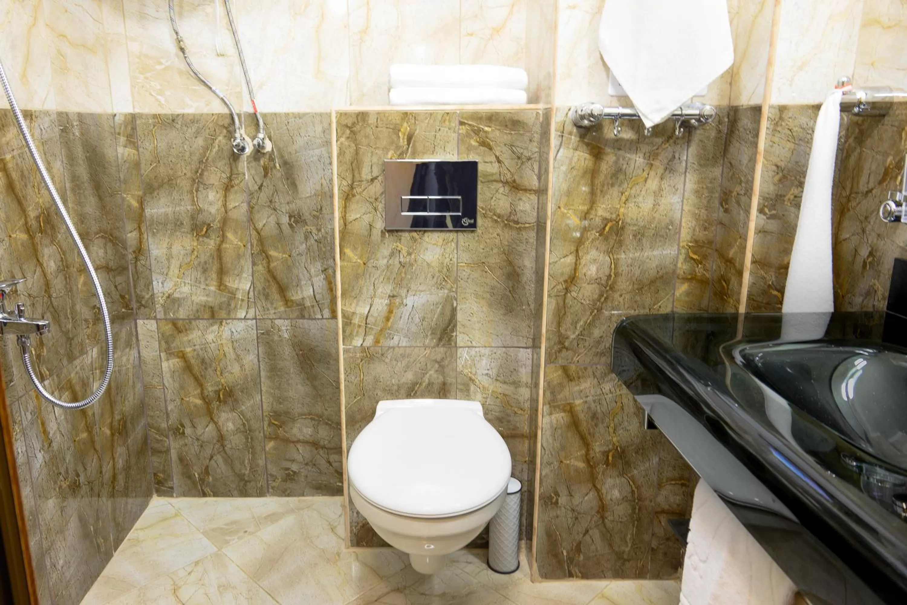 Toilet in Hotel Leda