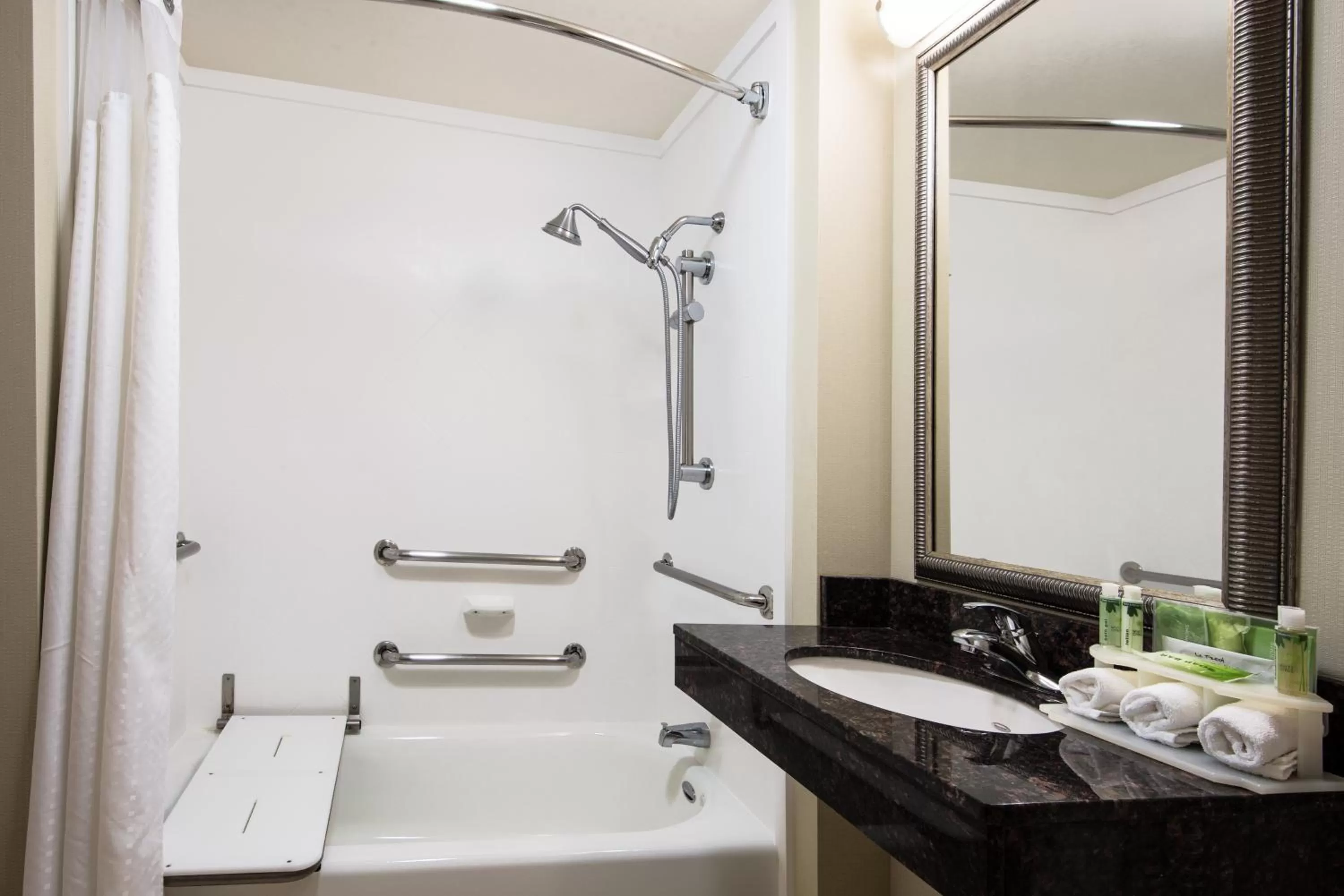 Deluxe Suite with Bath Tub - Disability Access/Non-Smoking  in Holiday Inn Express Hotel & Suites Clute-Lake Jackson, an IHG Hotel