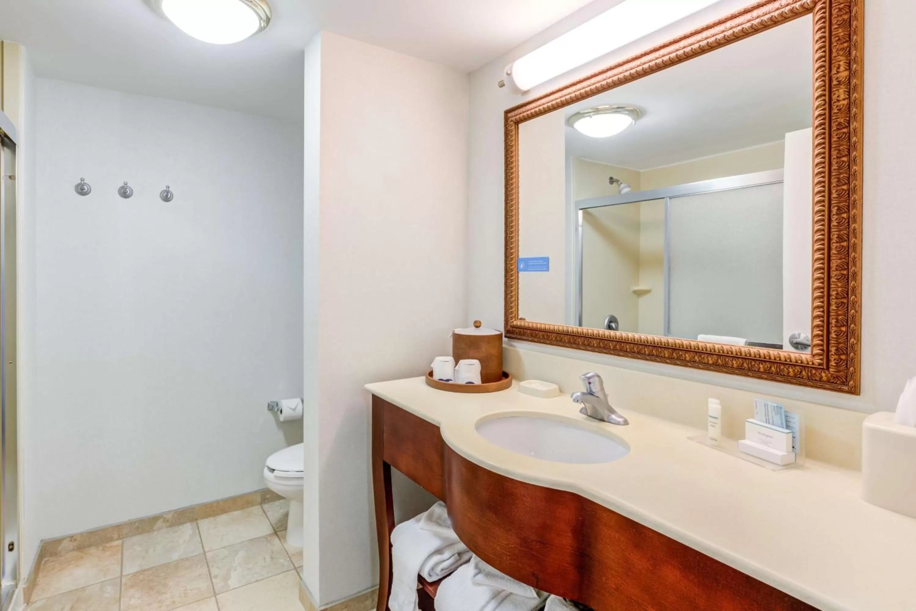 Bathroom in Hampton Inn & Suites Westford-Chelmsford