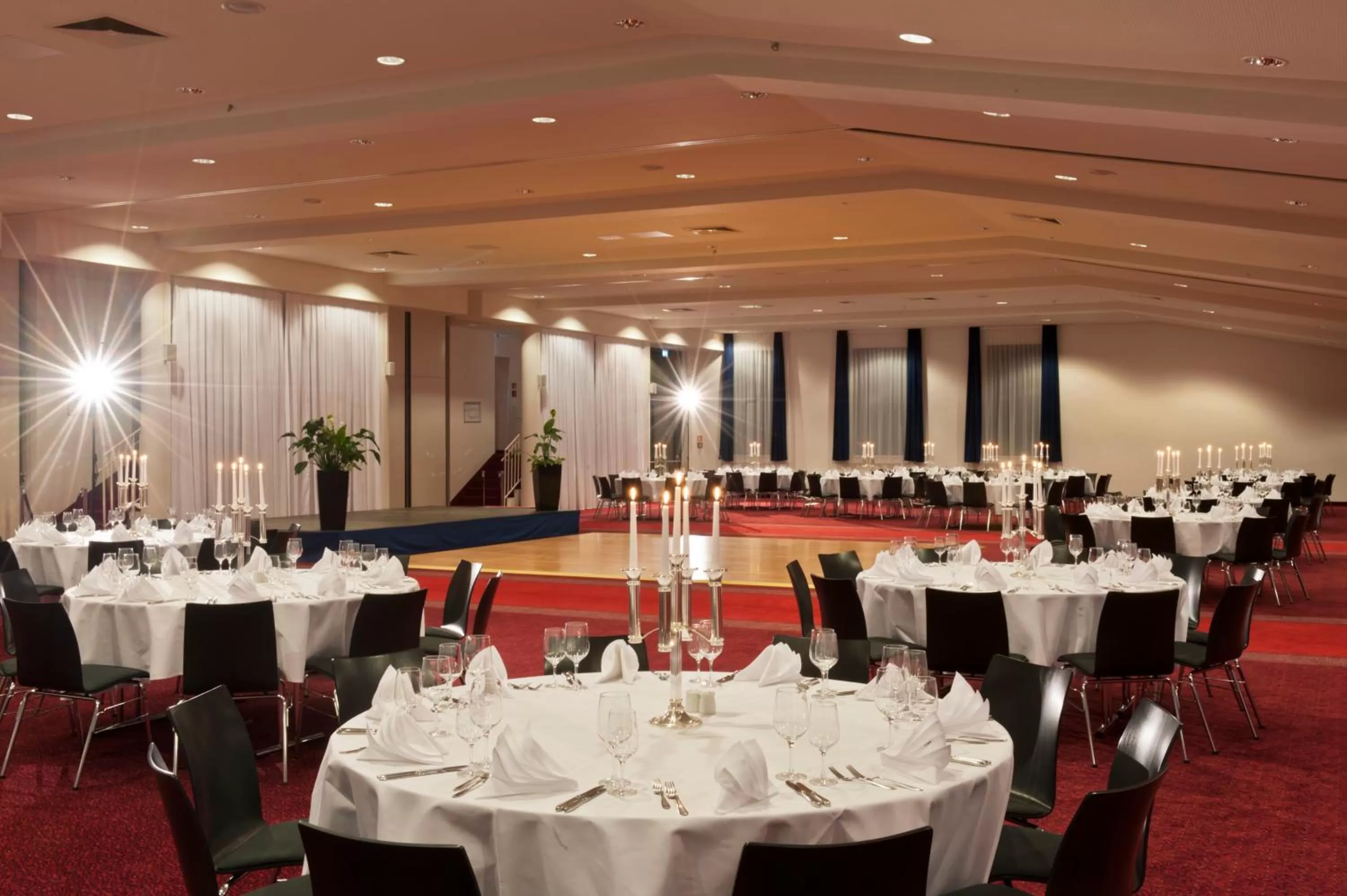 Banquet/Function facilities in Radisson Blu Park Hotel & Conference Centre