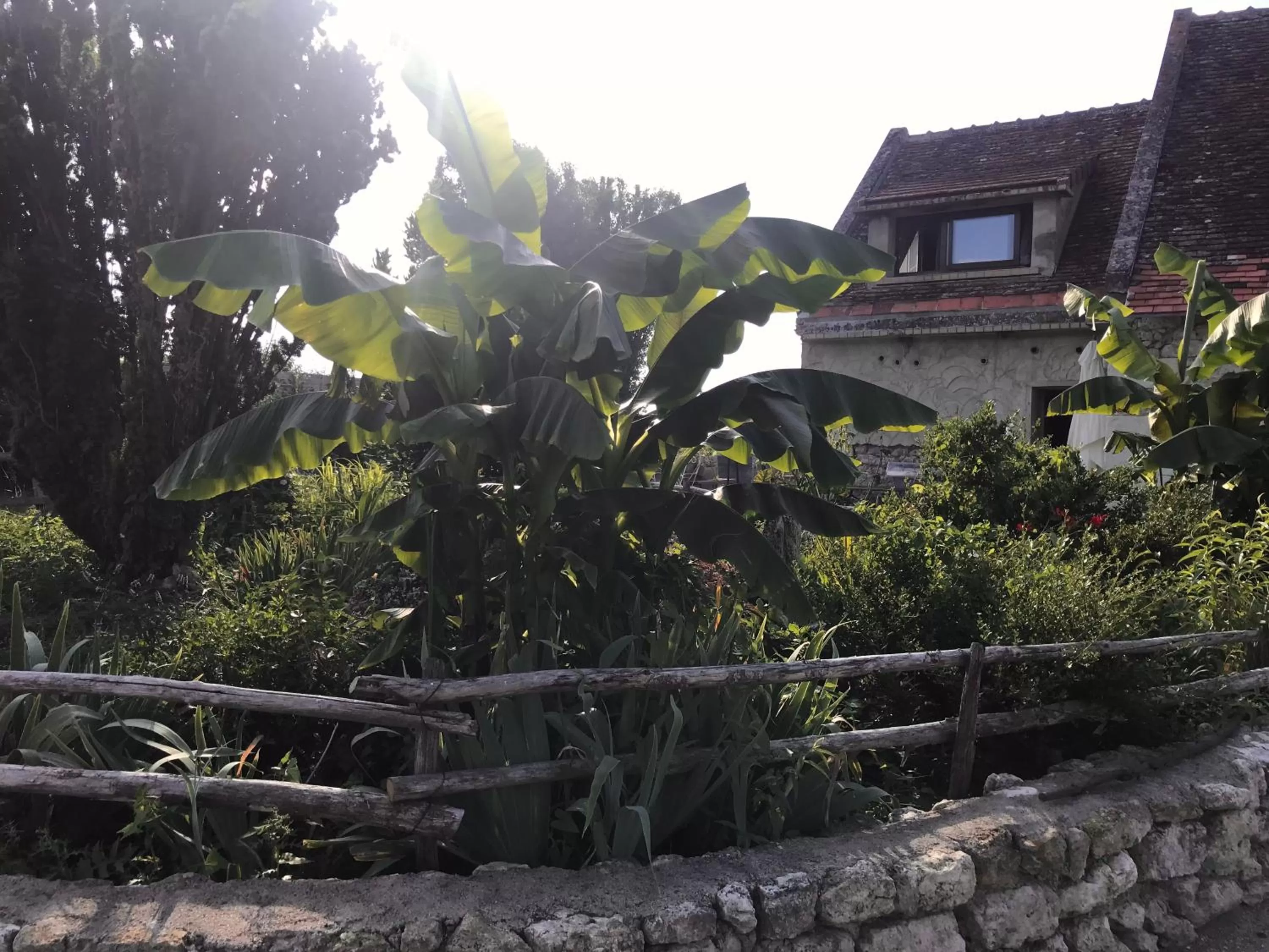 Property Building in Chez Gustave & Compagnie