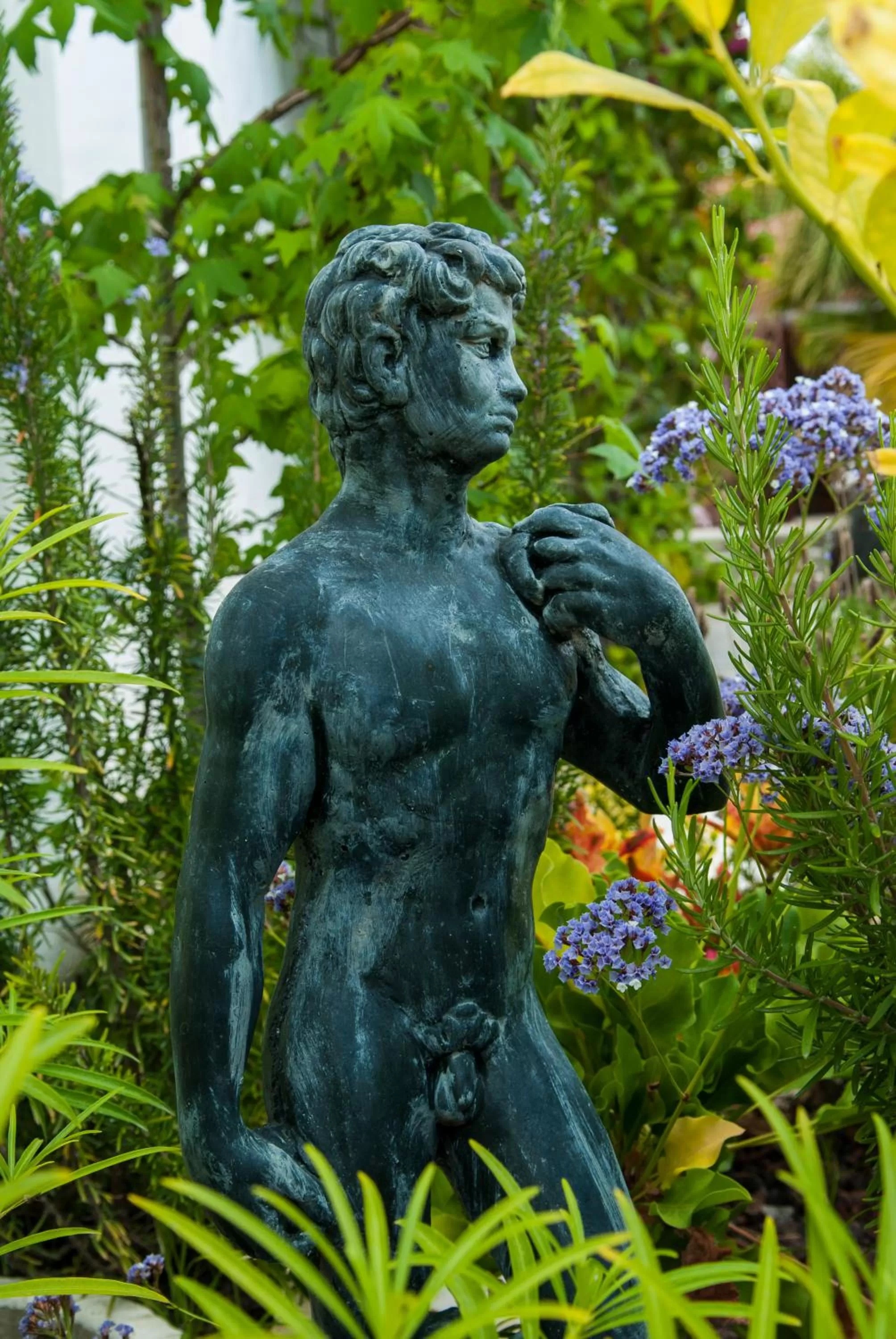 Other Animals in Birdcage Gay Men Resort and Lifestyle Hotel