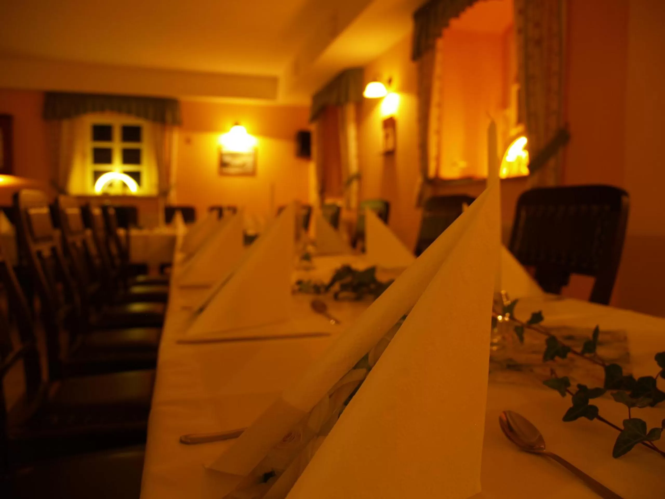 Activities, Restaurant/Places to Eat in Waldgasthof Bad Einsiedel